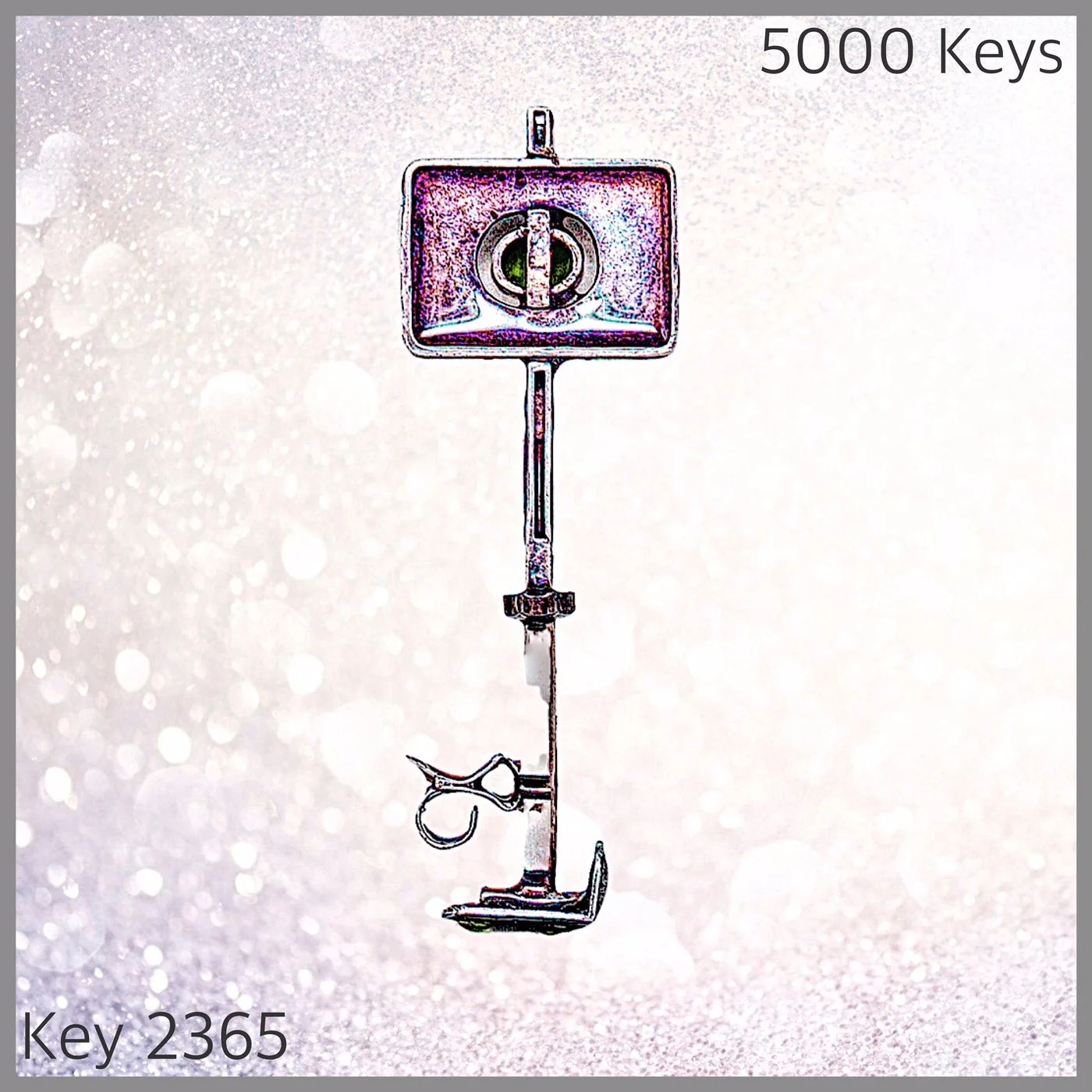 Key 2365 .JPG