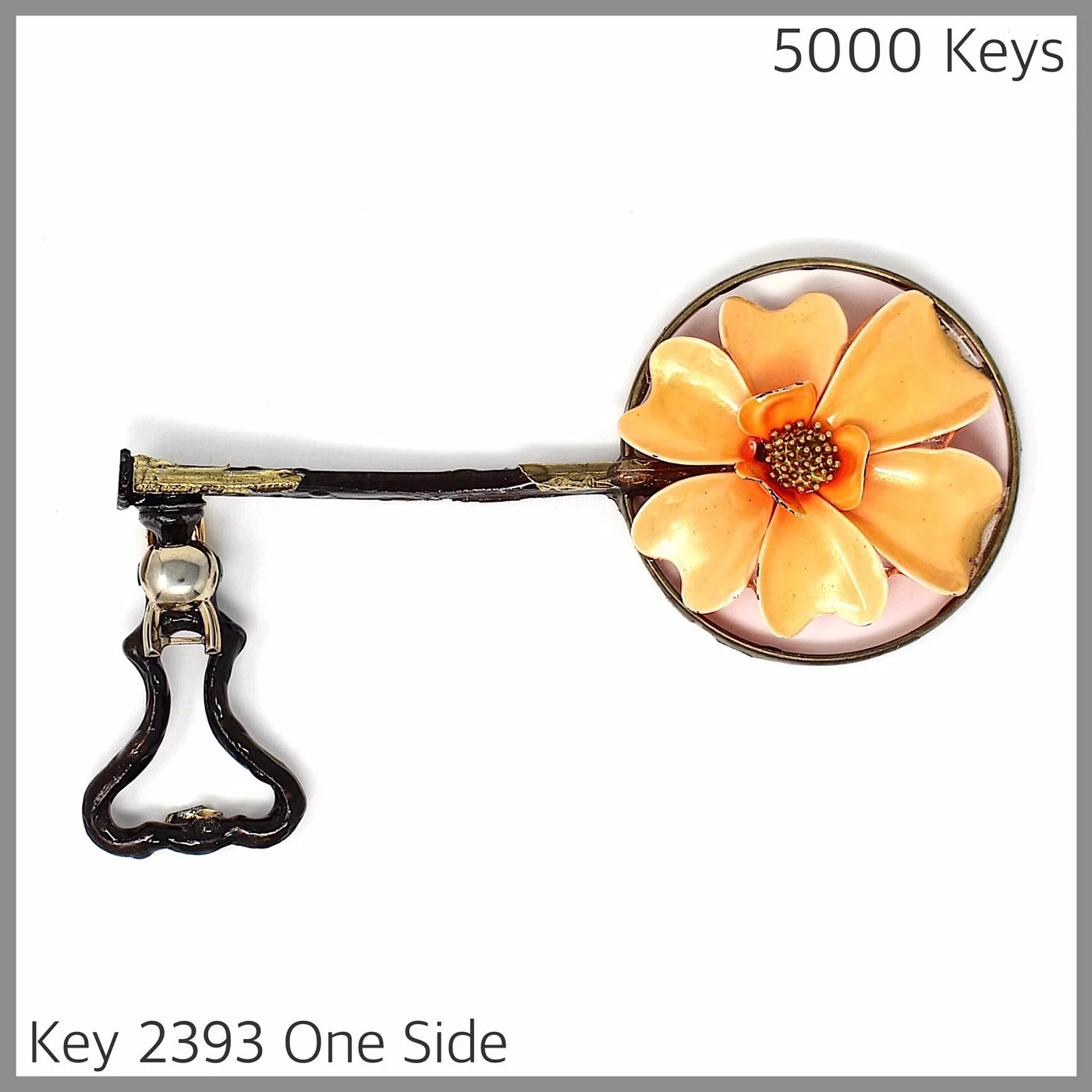 Key 2393 One Side.JPG