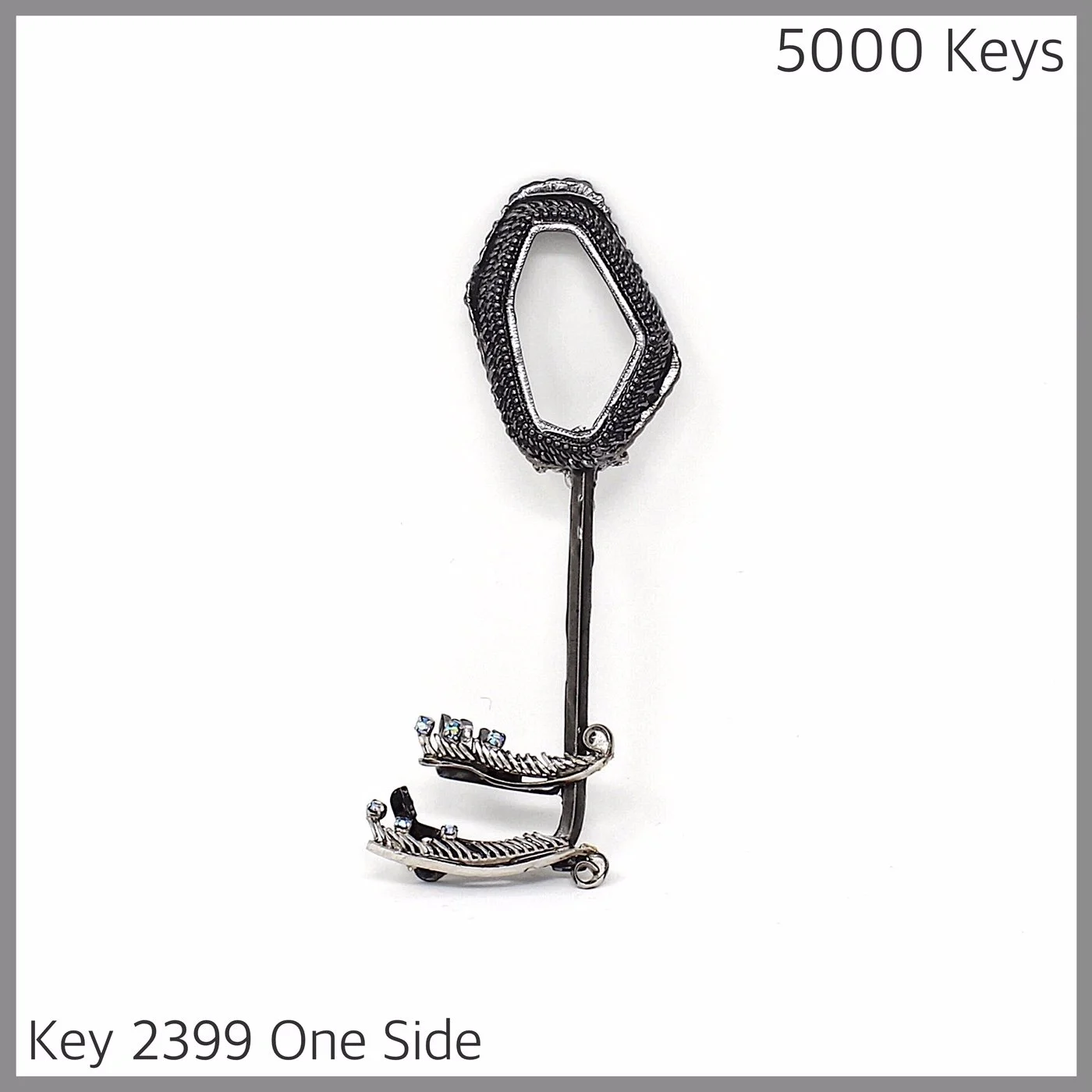 Key 2399 One Side.JPG