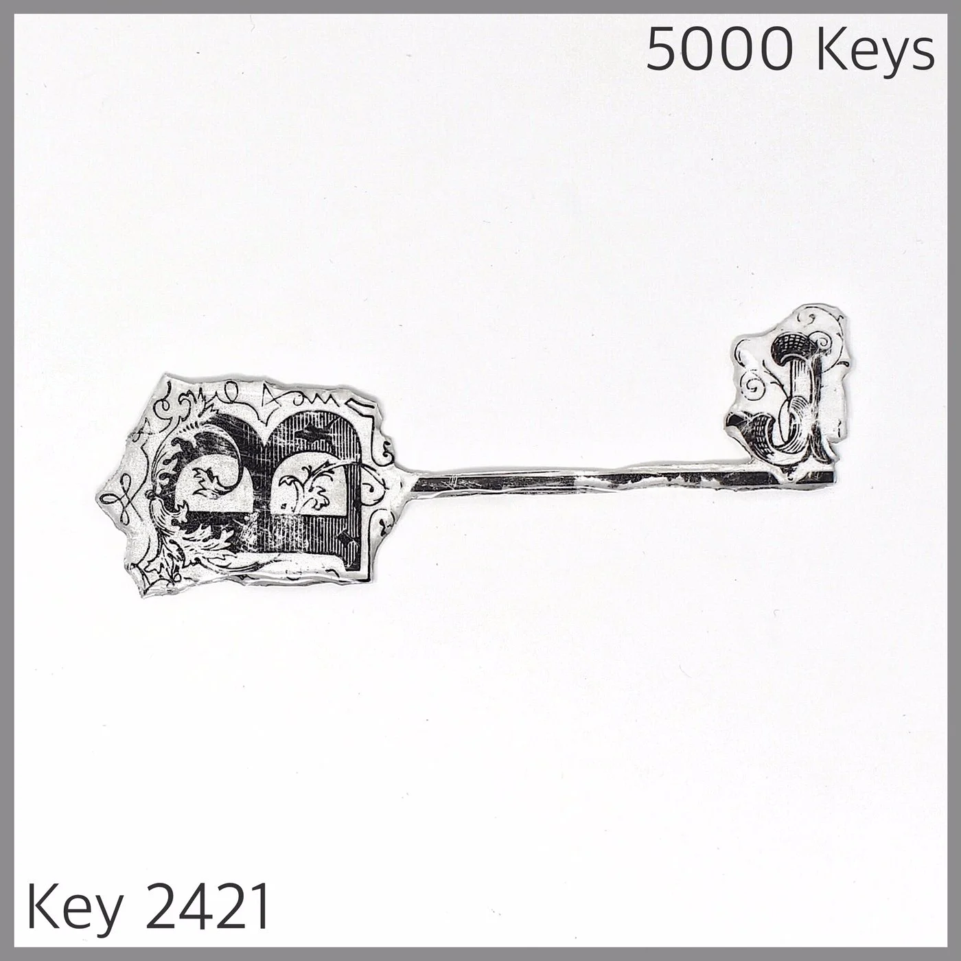Key 2421.JPG