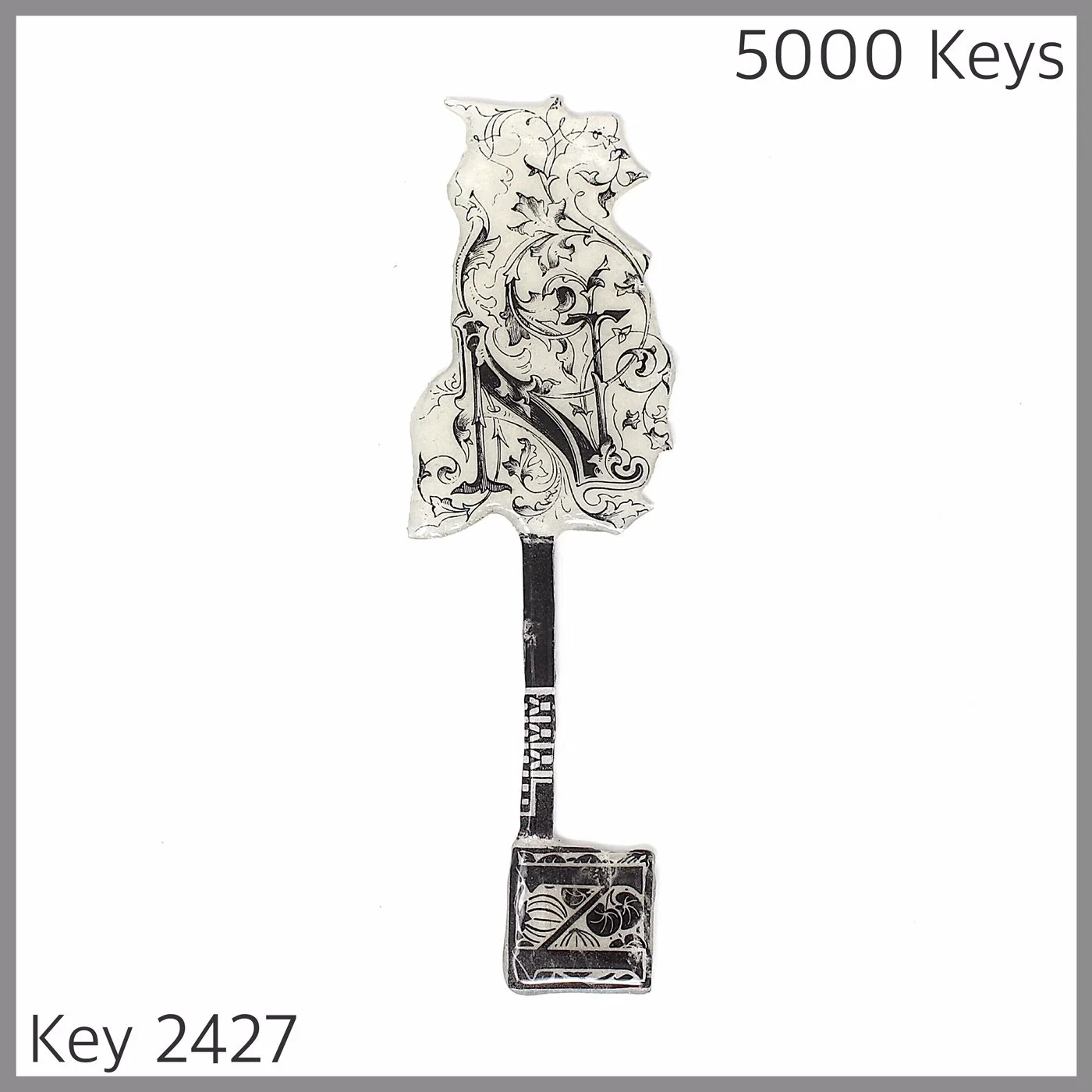 Key 2427.JPG