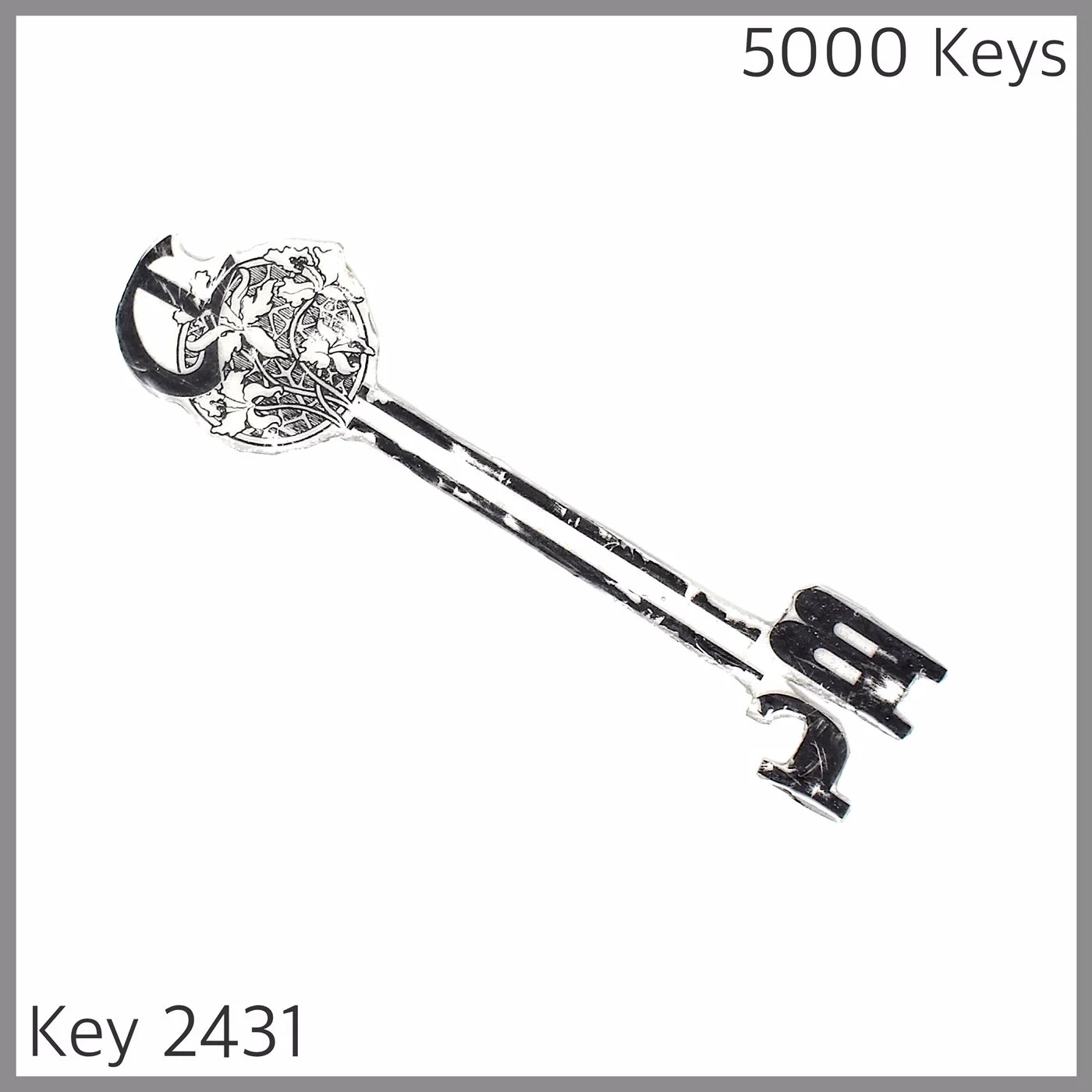 Key 2431.JPG
