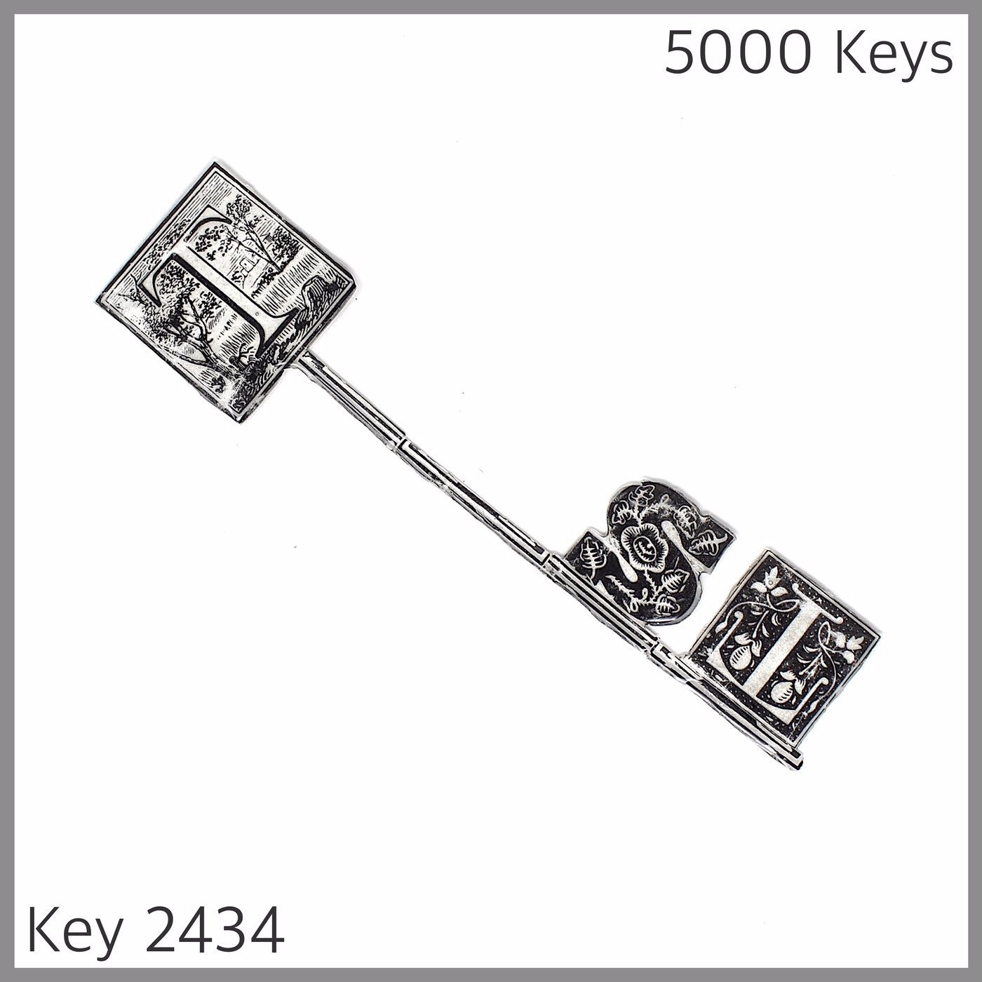 Key 2434.JPG