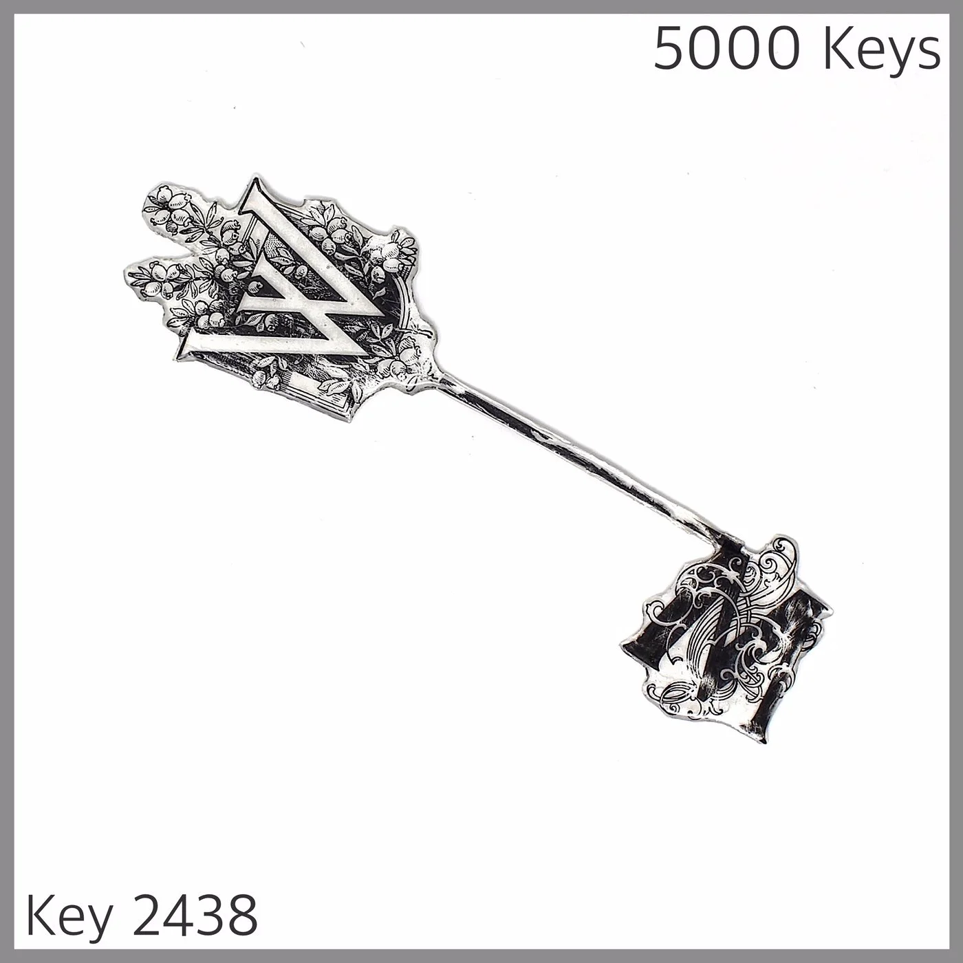 Key 2438.JPG