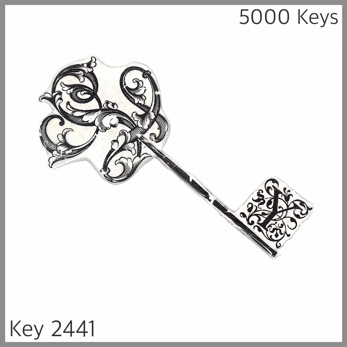 Key 2441.JPG