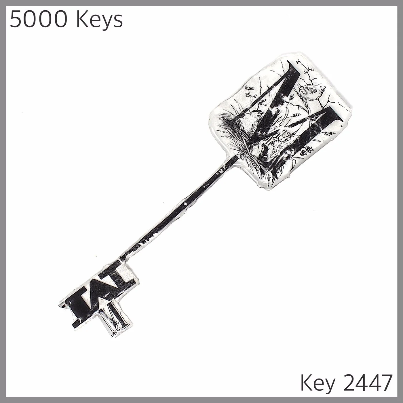 Key 2447.JPG