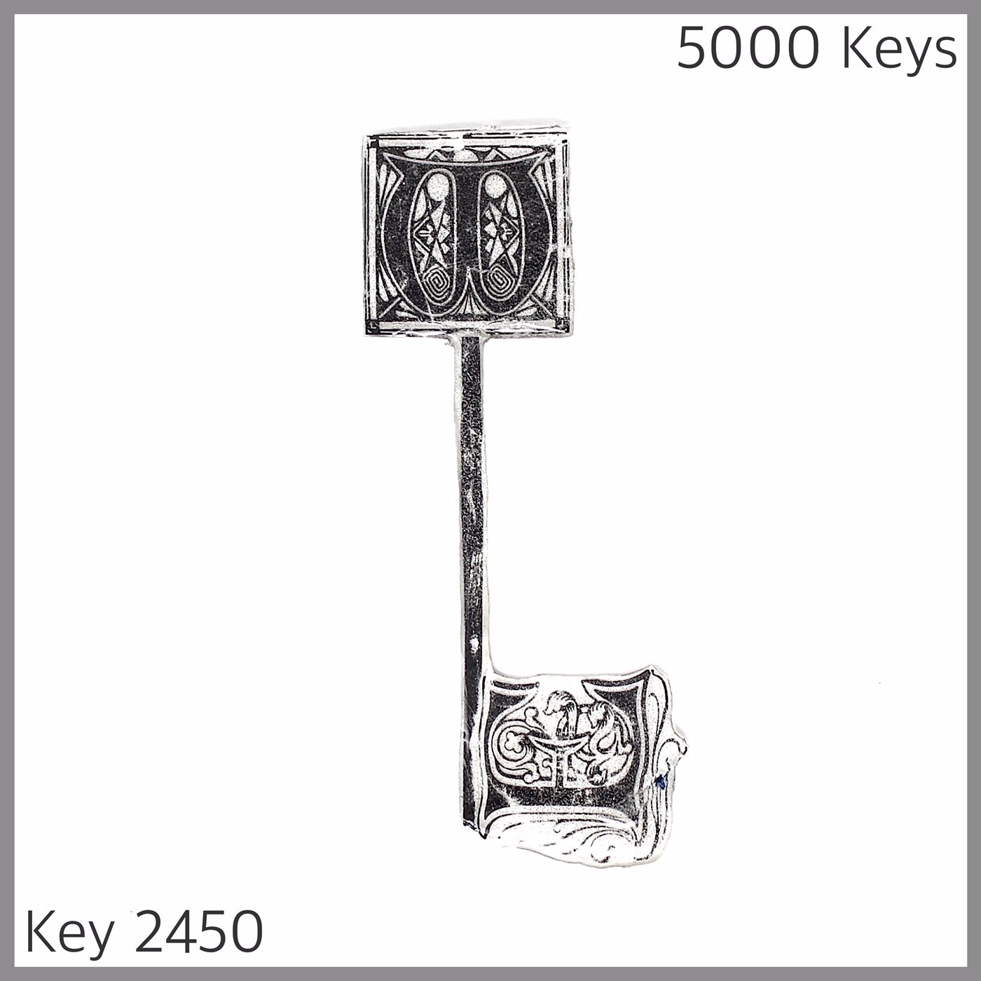 Key 2450.JPG