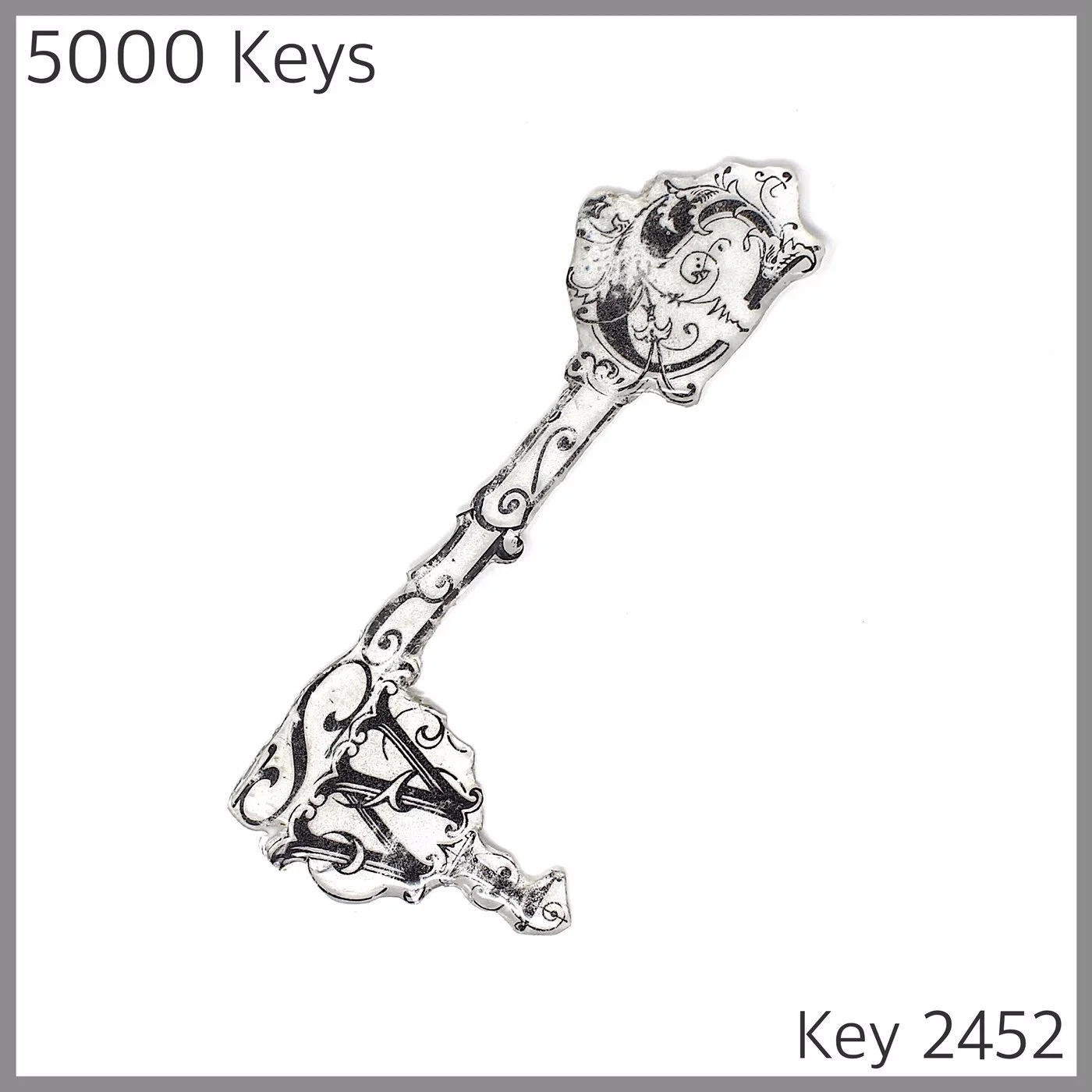 Key 2452.JPG