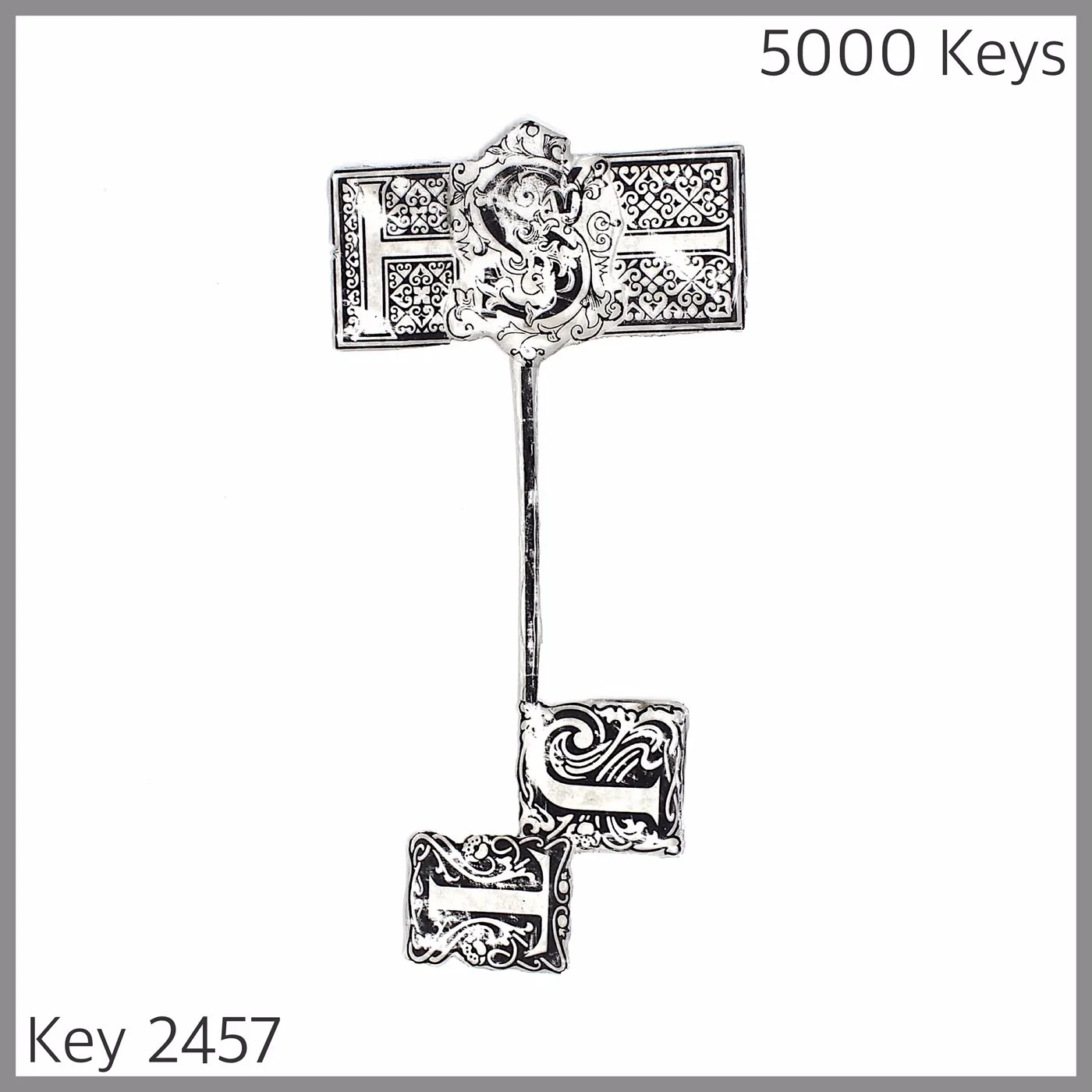 Key 2457.JPG
