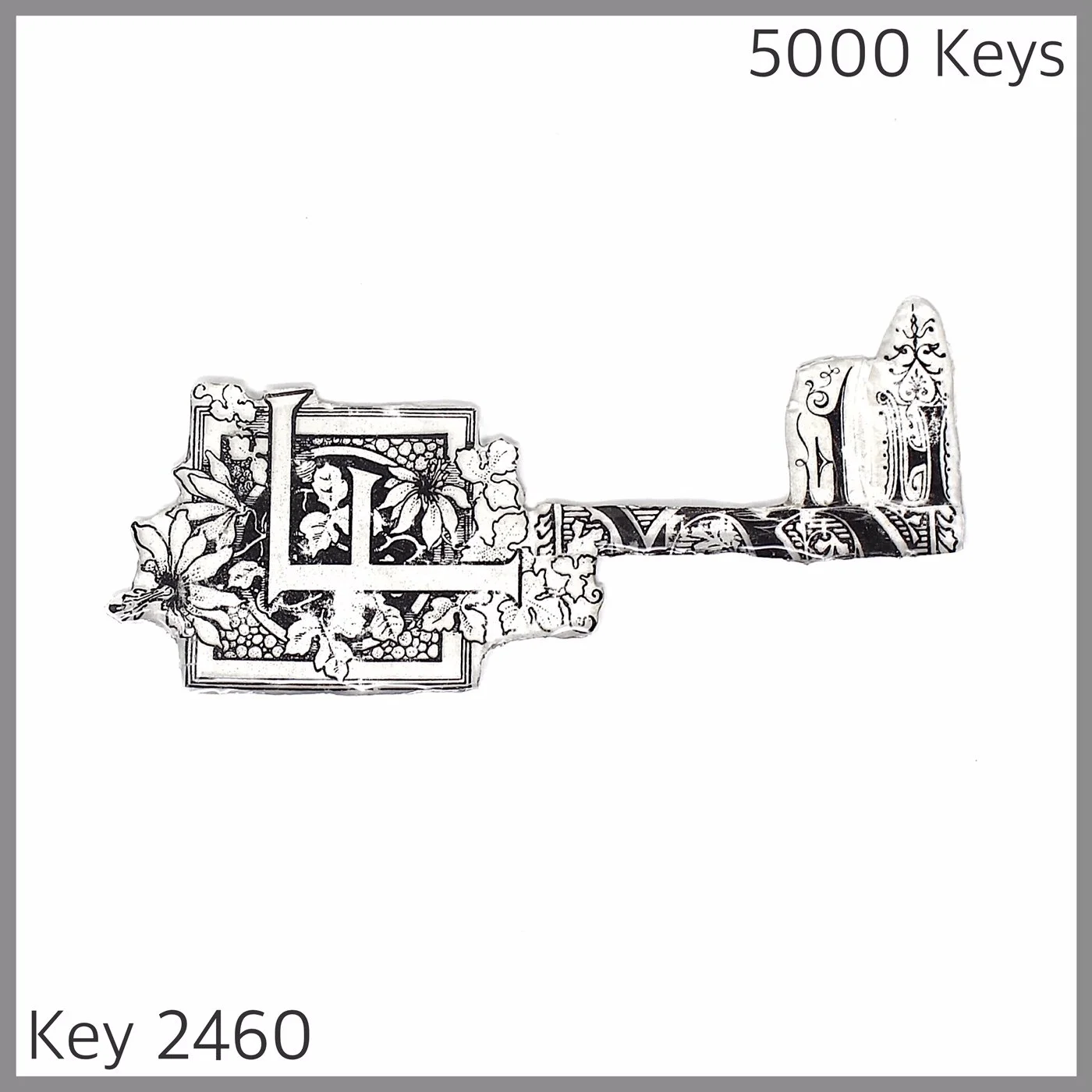Key 2460 .JPG