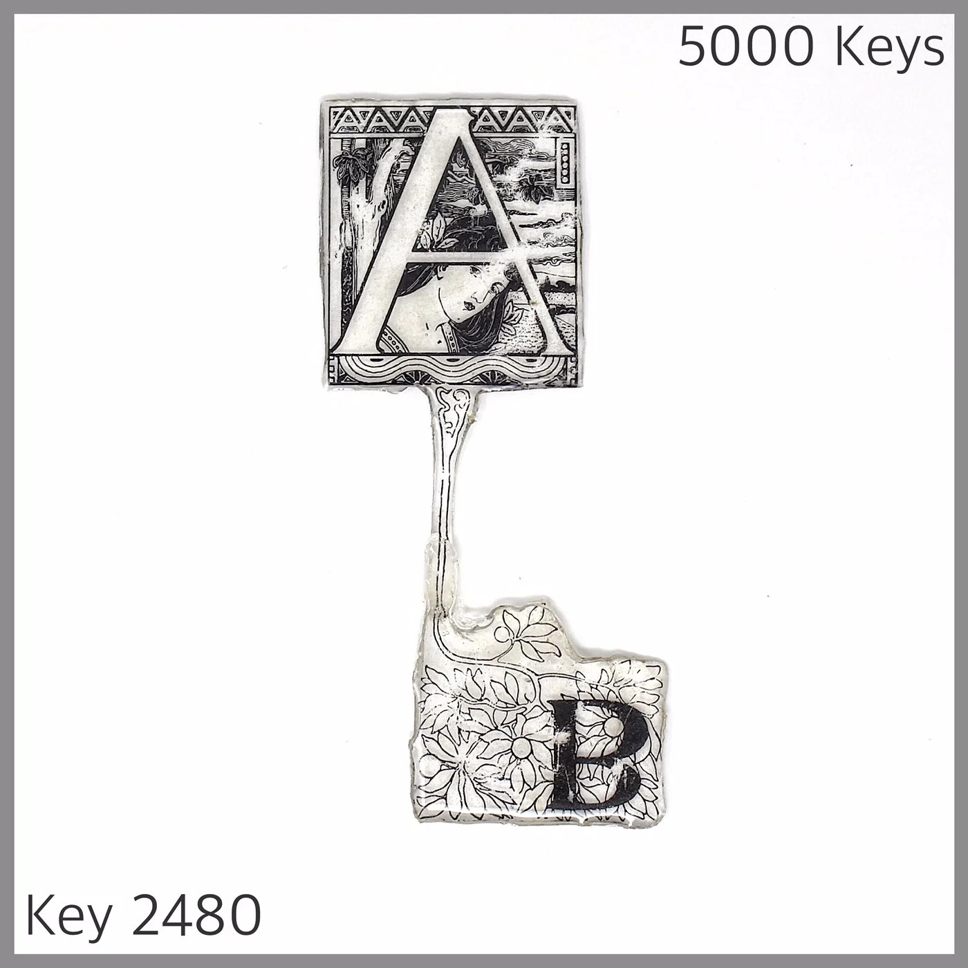 Key 2480.JPG