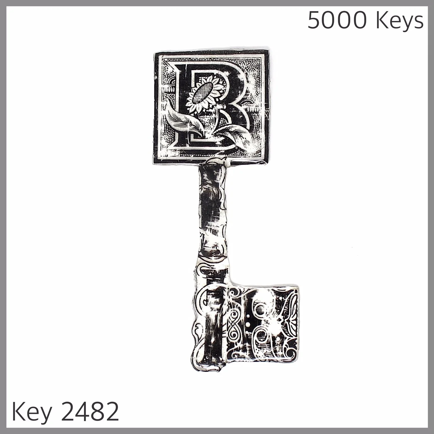 Key 2482.JPG