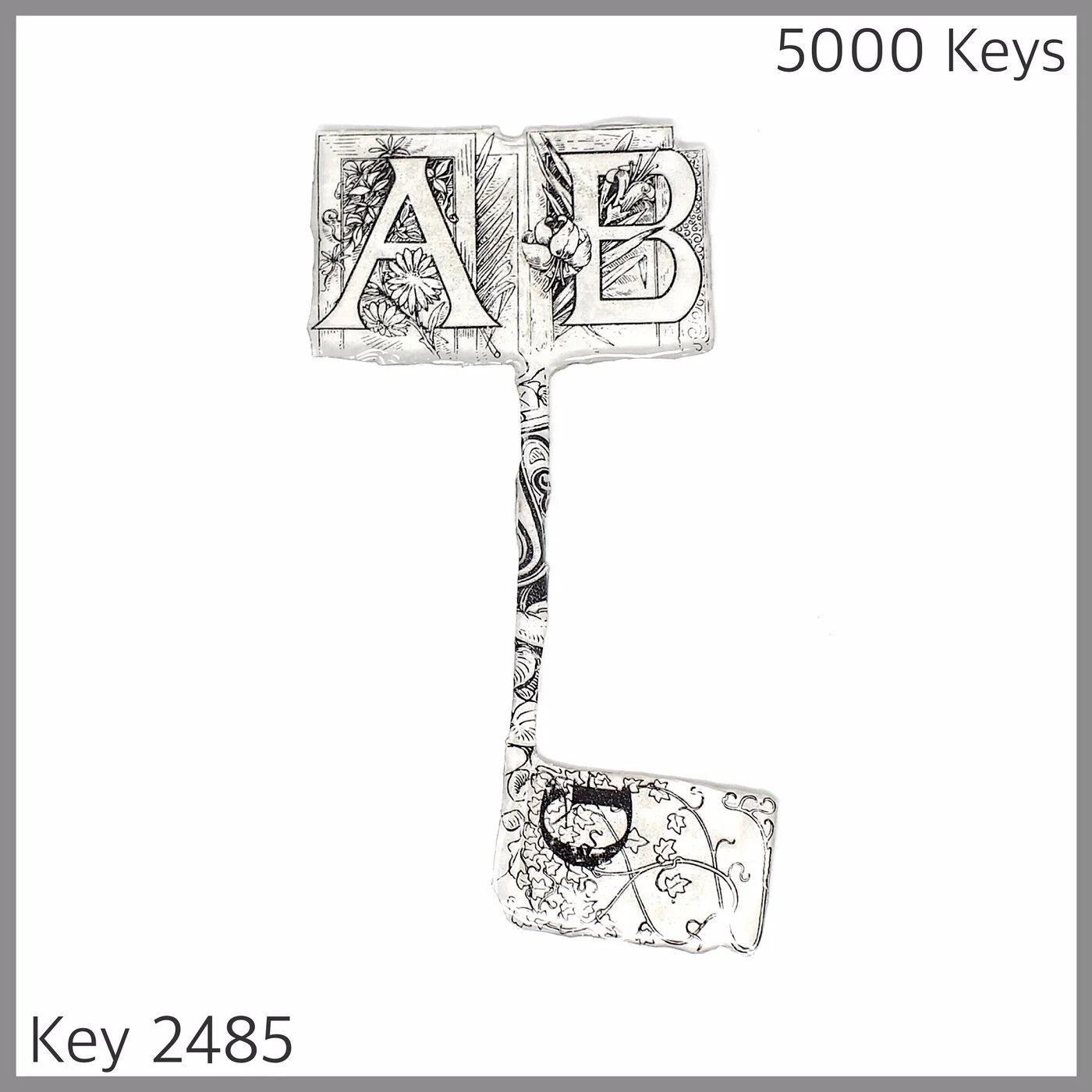 Key 2485.JPG