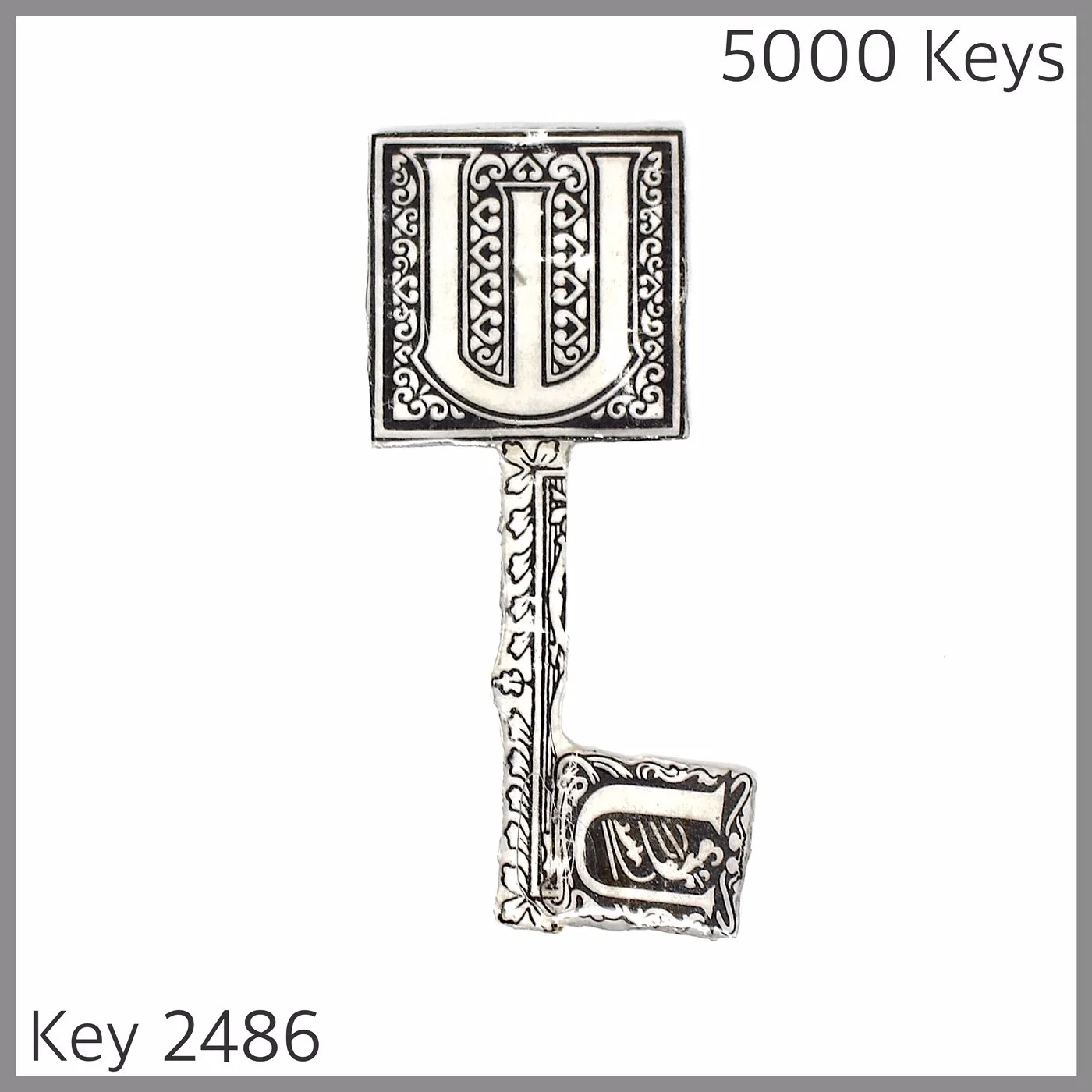 Key 2486.JPG