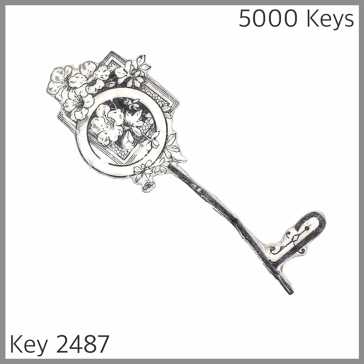 Key 2487.JPG