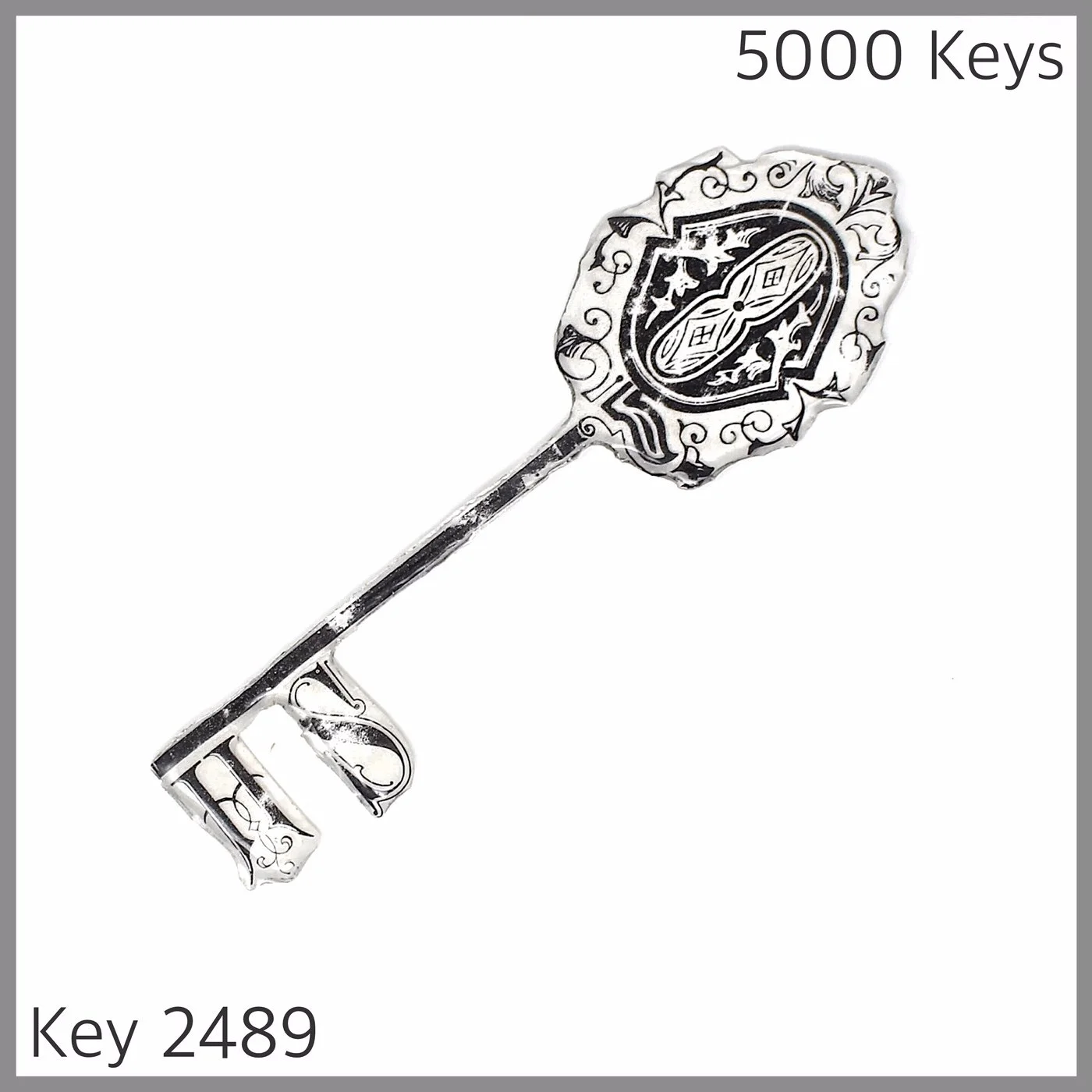 Key 2489.JPG