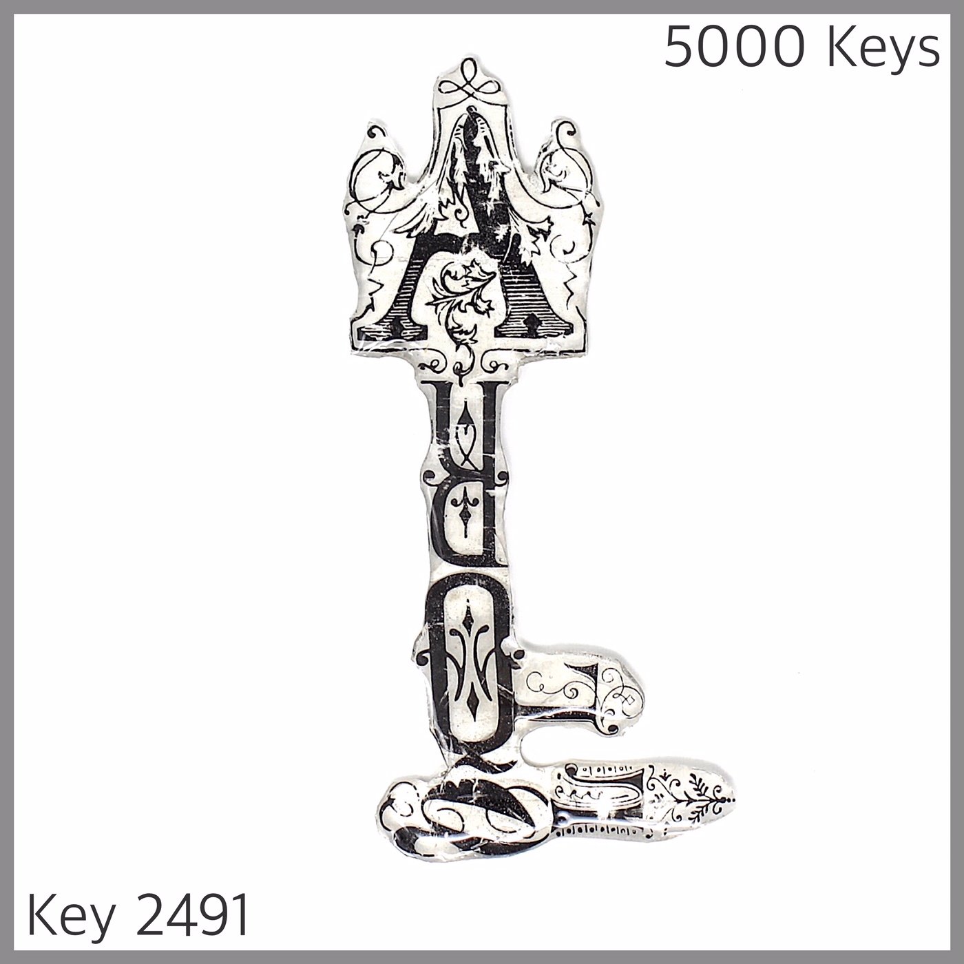 Key 2491.JPG