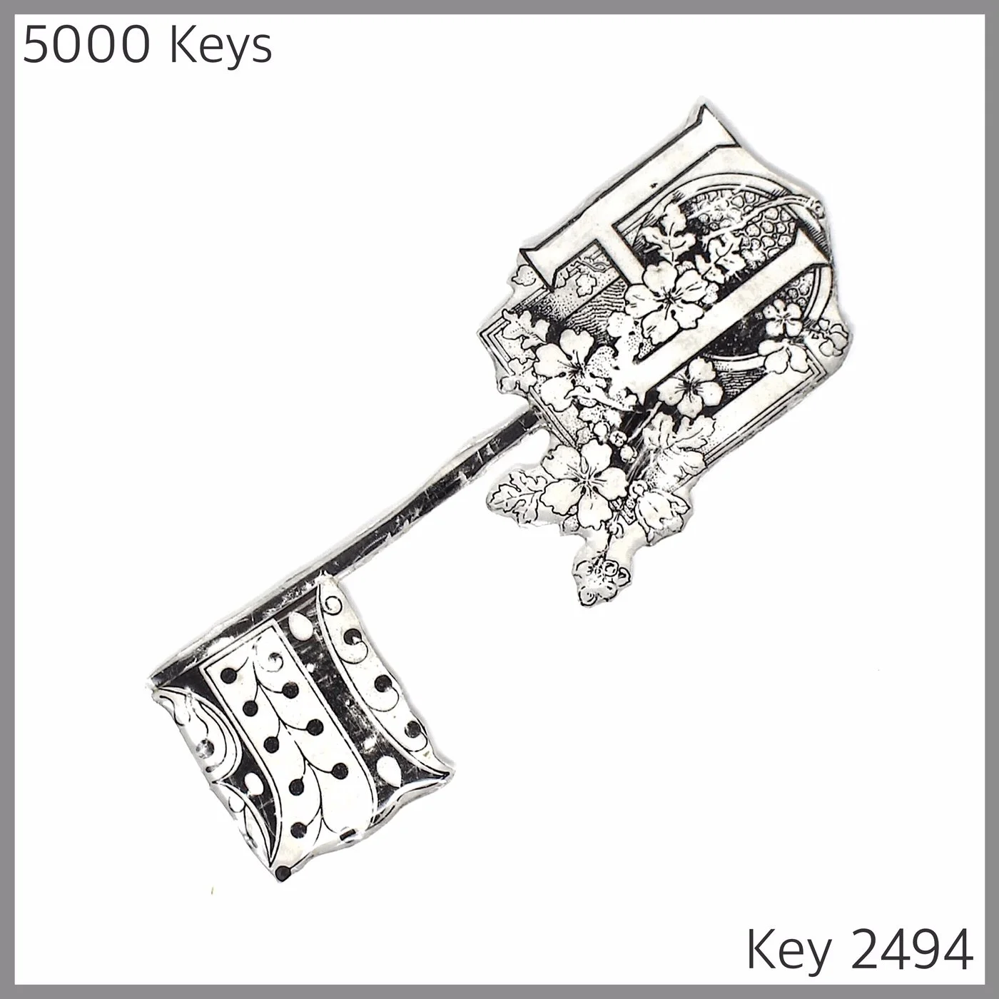 Key 2494.JPG