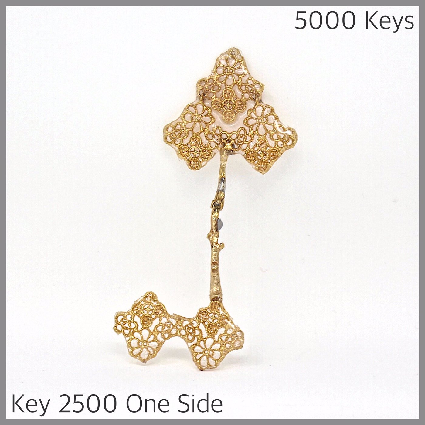 Key 2500 One Side.JPG