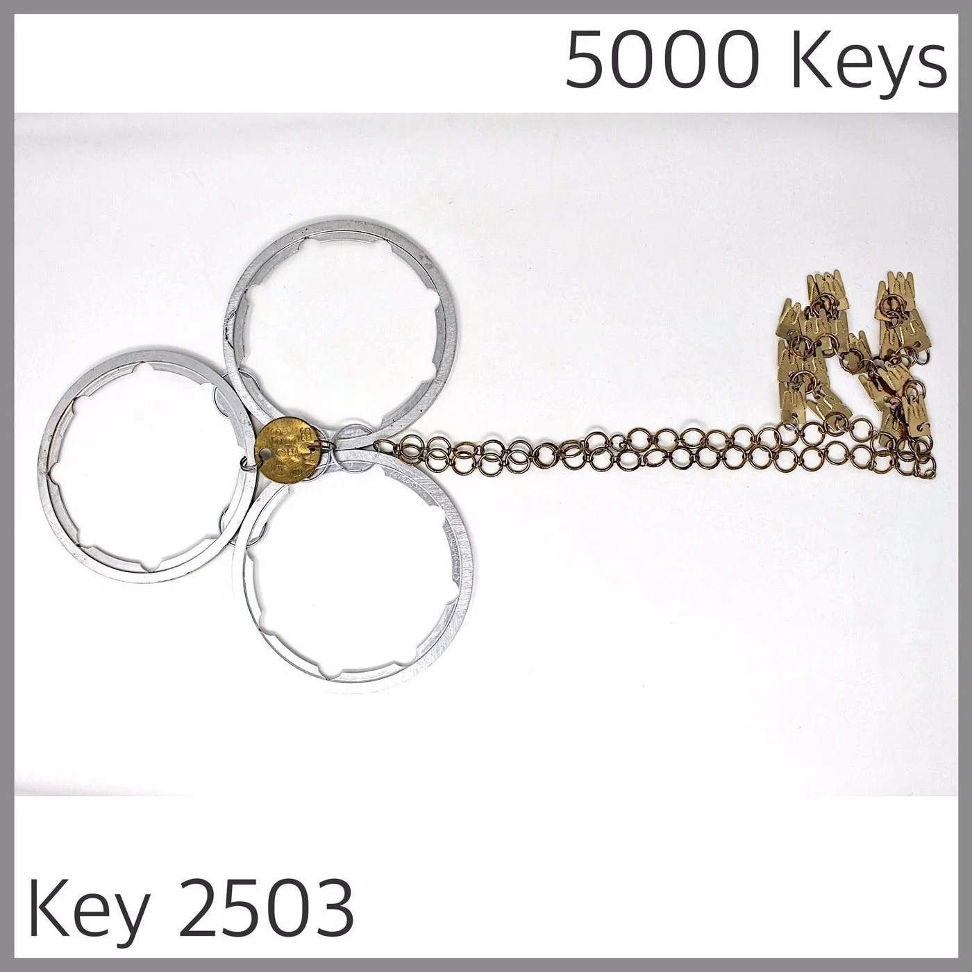 Key 2503.JPG