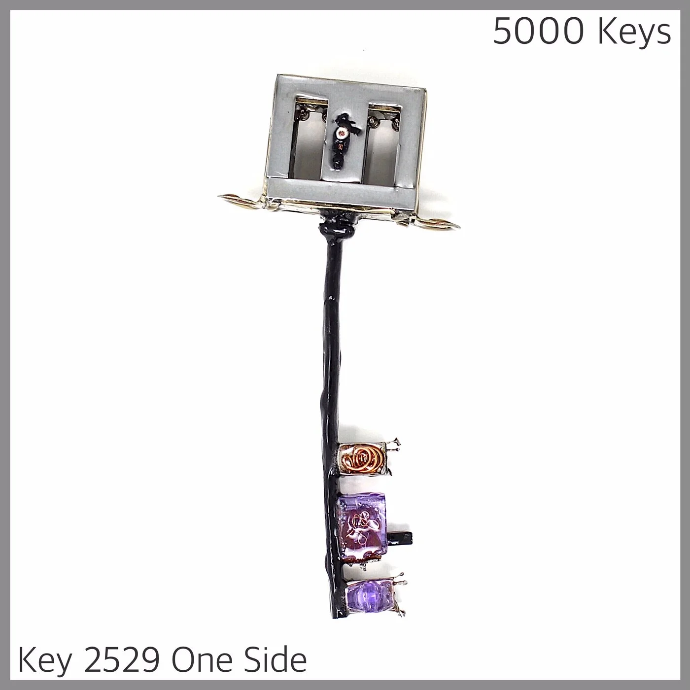 Key 2529 Other Side.JPG