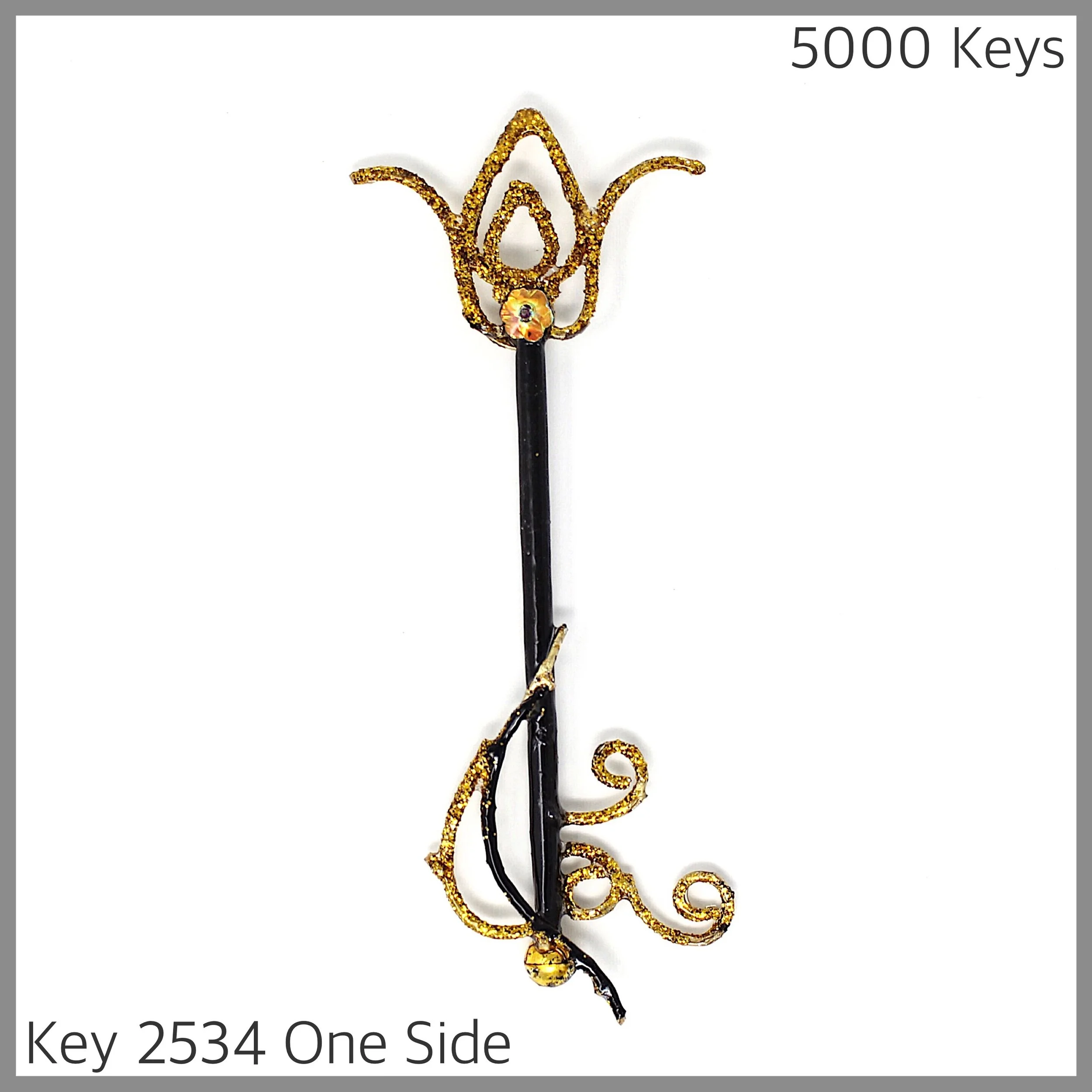 Key 2534 One Side.JPG