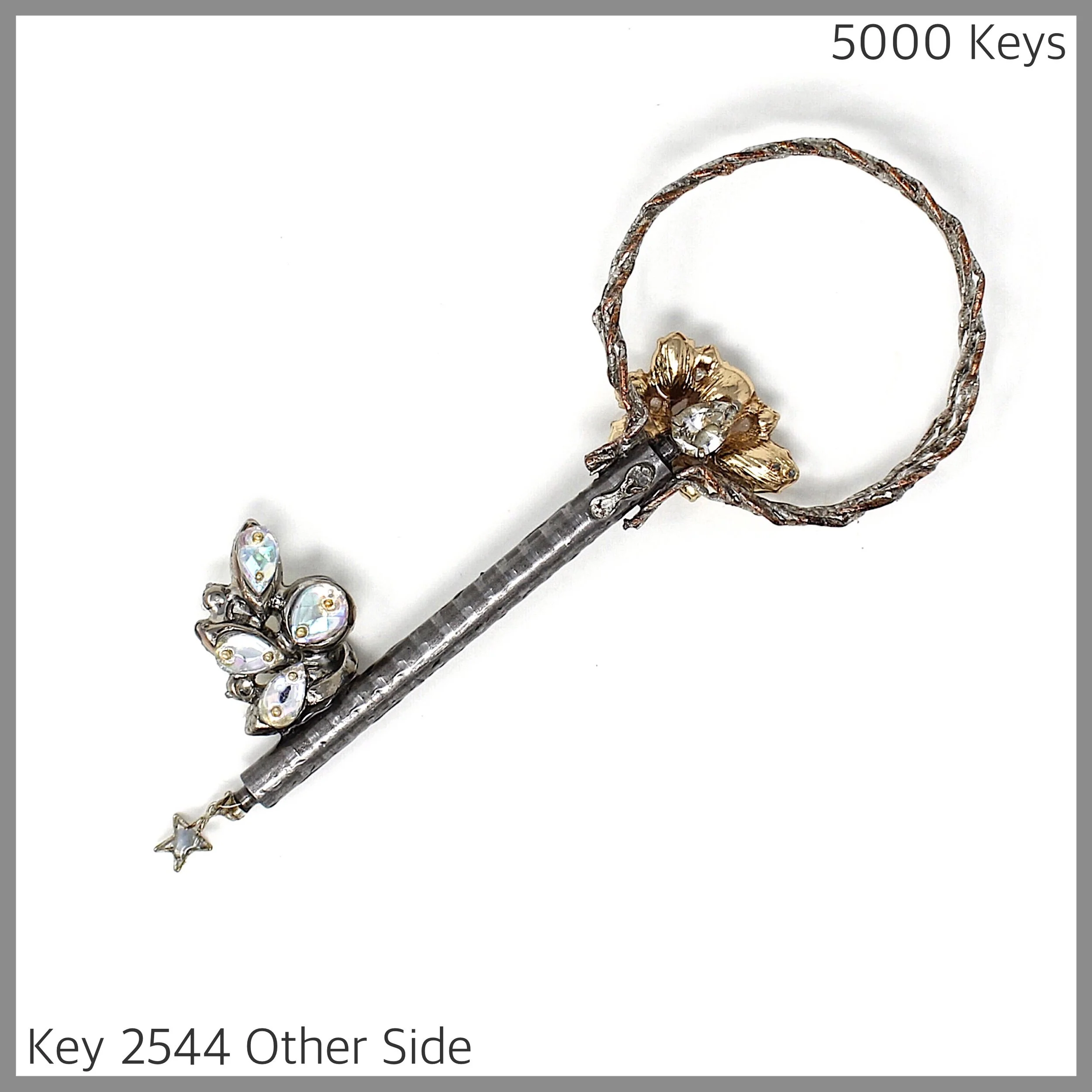 Key 2544 Other Side.JPG