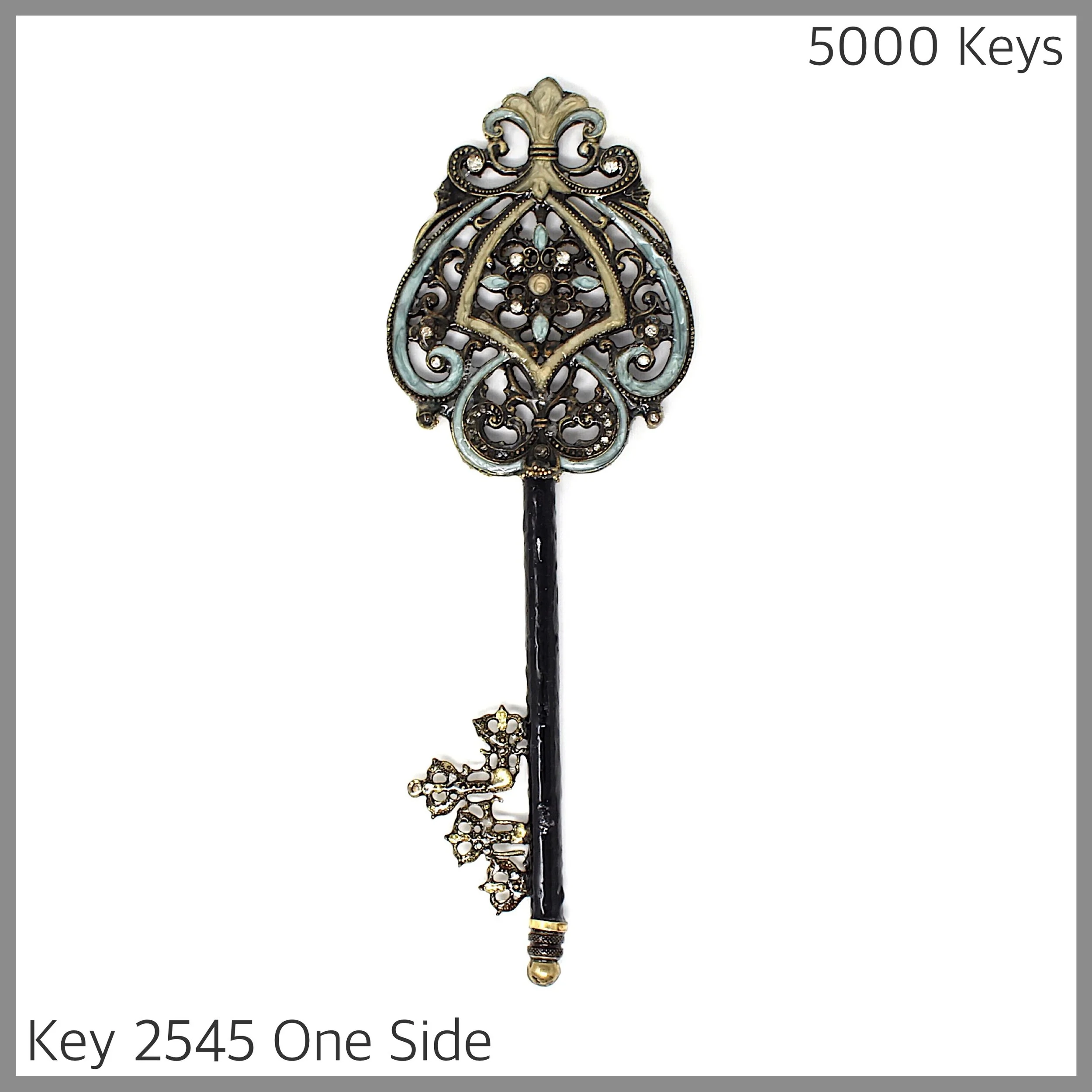 Key 2545 One Side.JPG