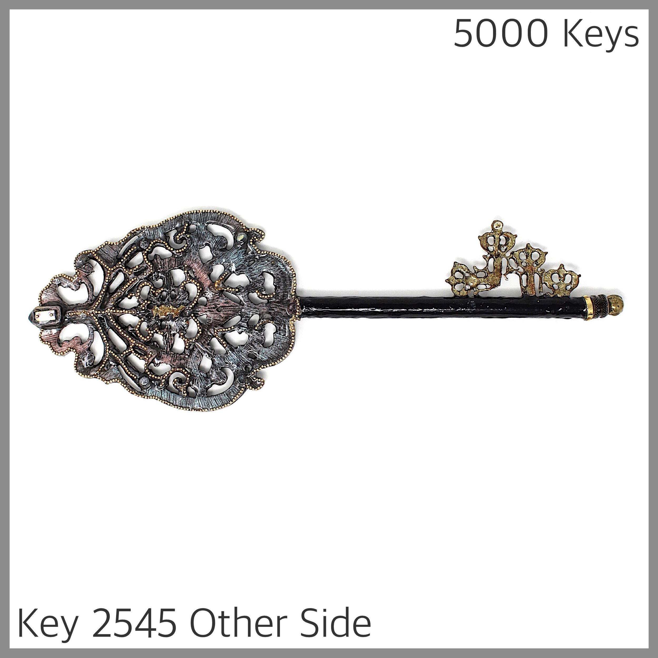 Key 2545 Other Side.JPG