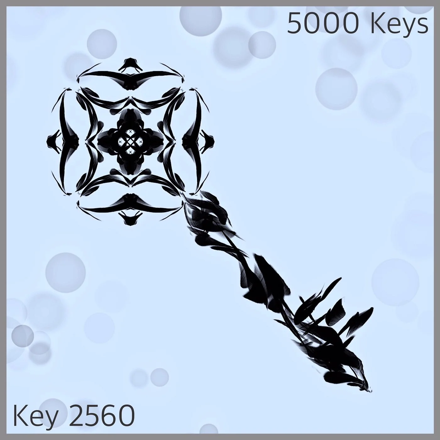 Key 2560.JPG