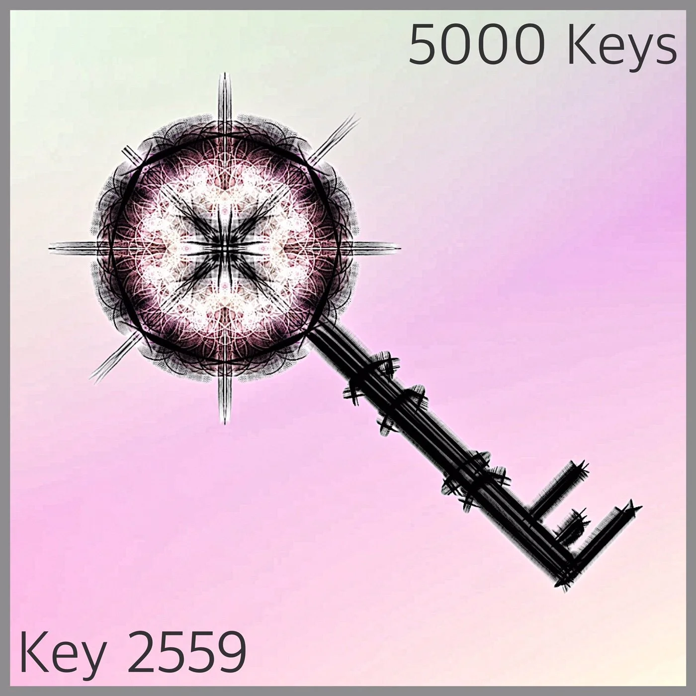 Key 2559.JPG