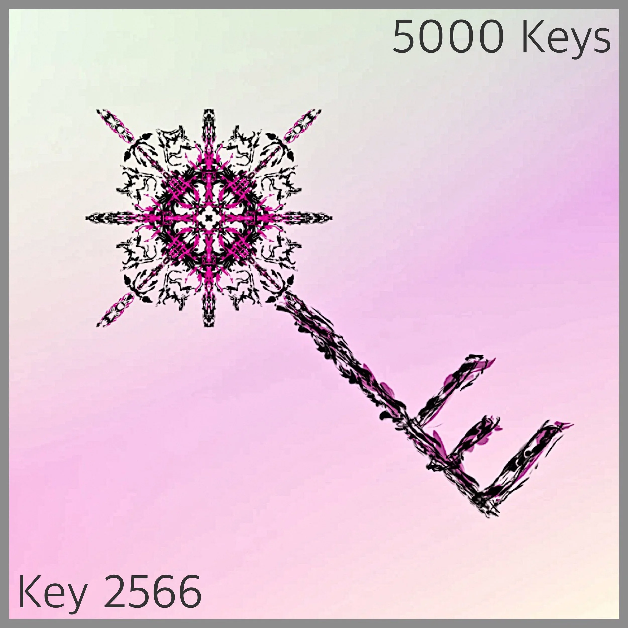 Key 2566.JPG