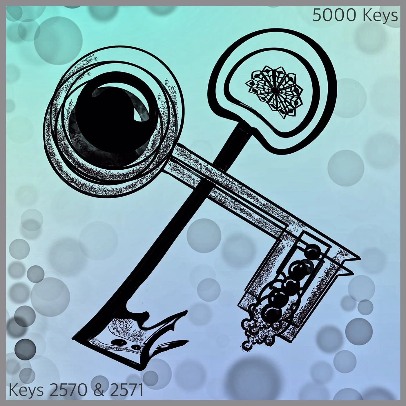 Key 2570 and Key 2571.JPG