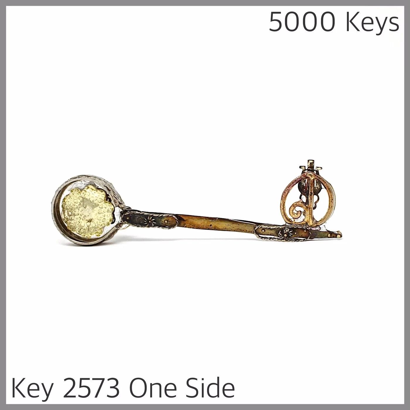 Key 2573 one Side.JPG