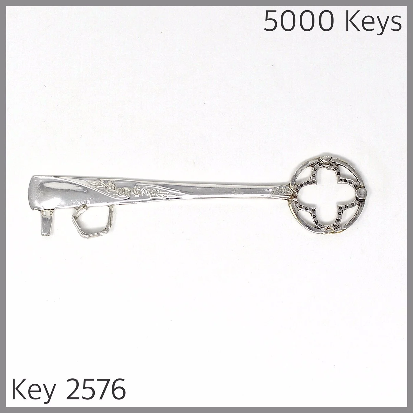 Key 2576.JPG