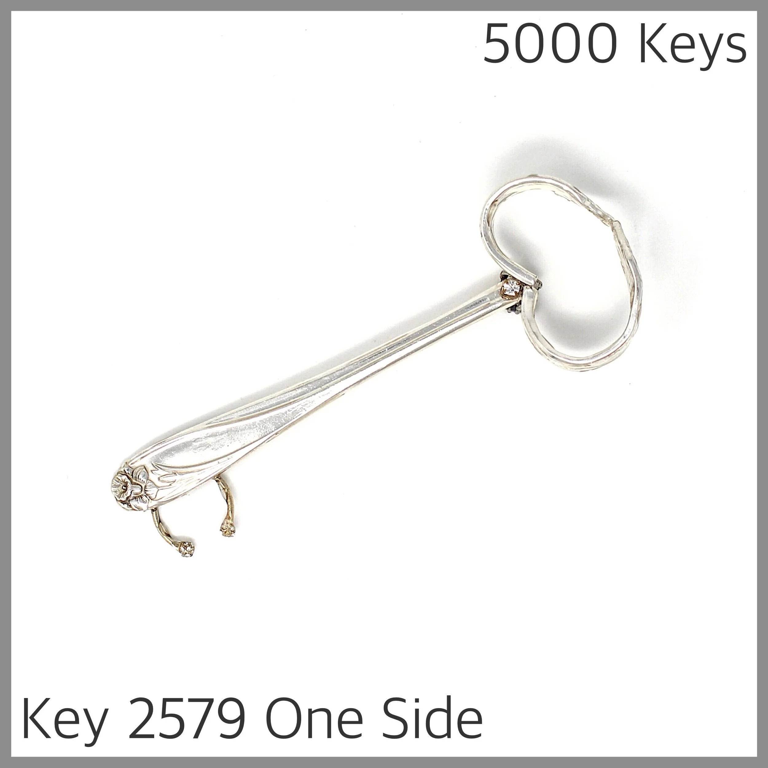 Key 2579 One Side.JPG