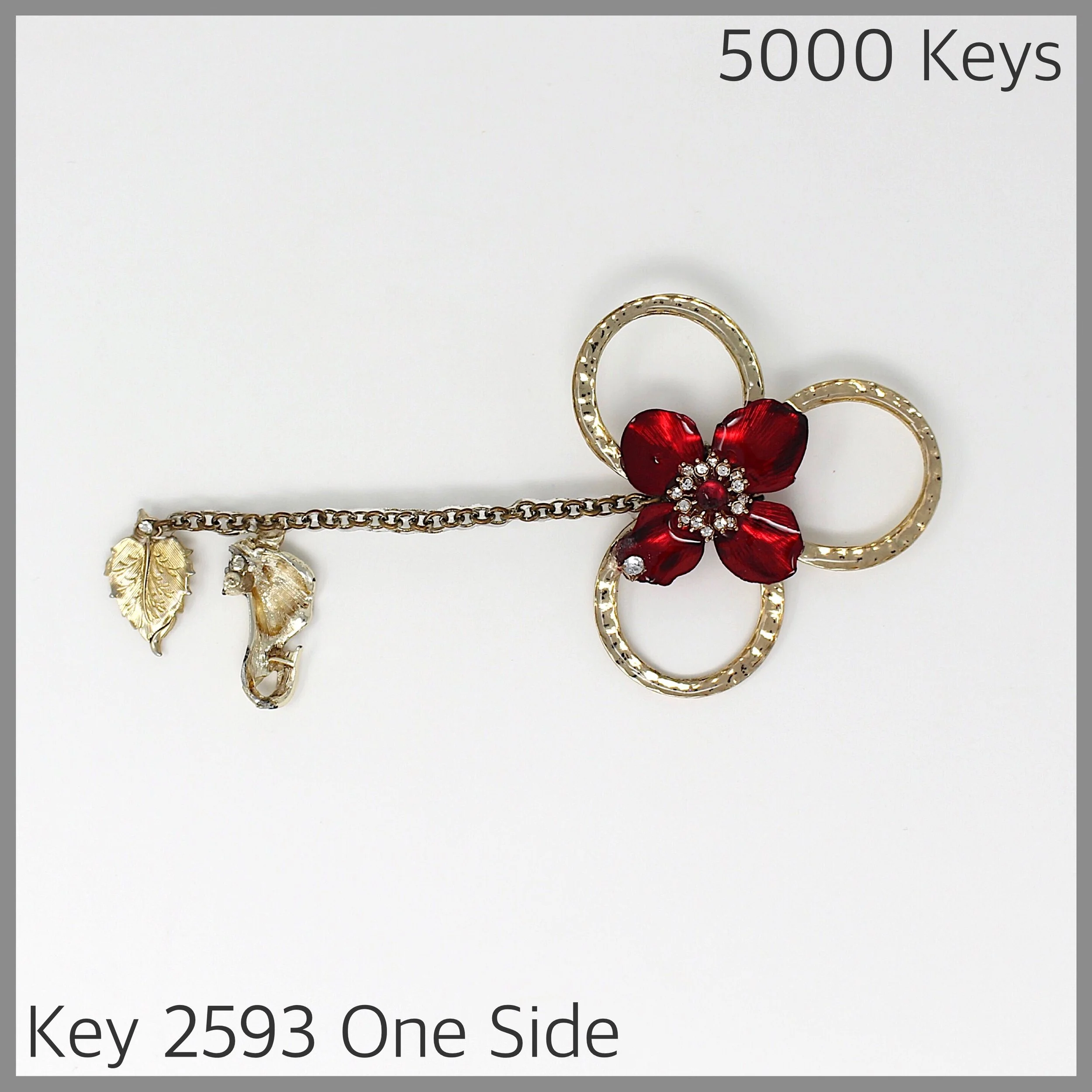 Key 2593 One Side.jpg