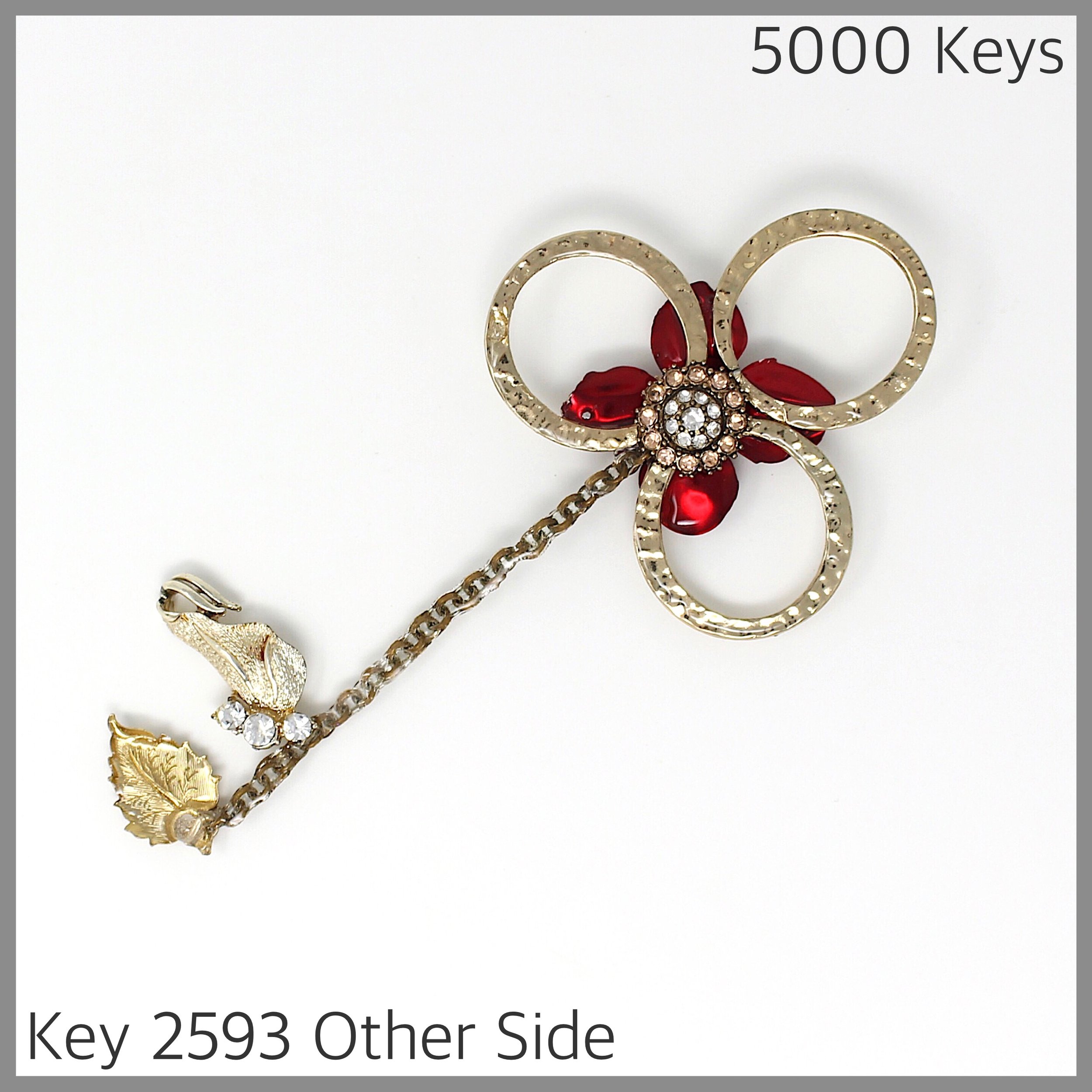 Key 2593 Other Side.jpg