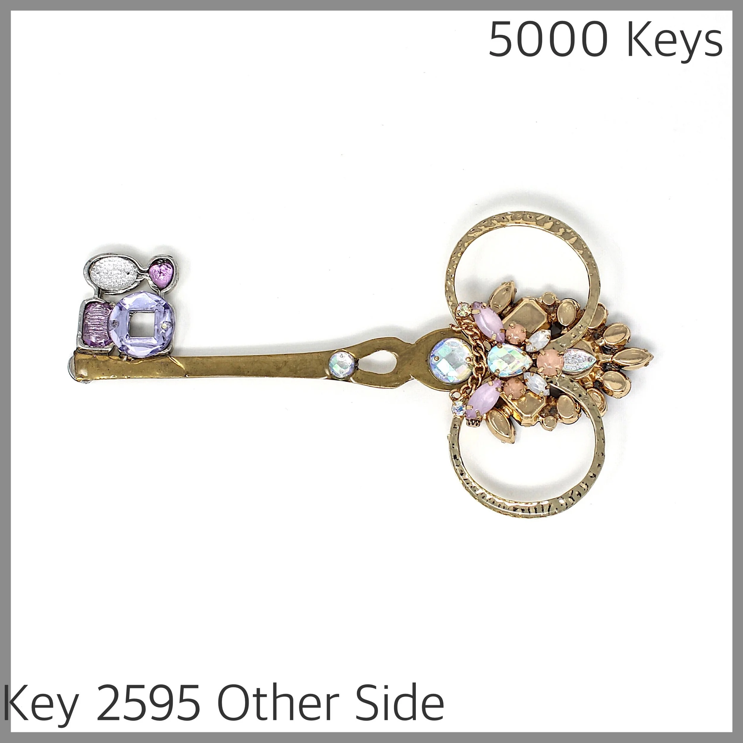 Key 2595 Other Side.jpg