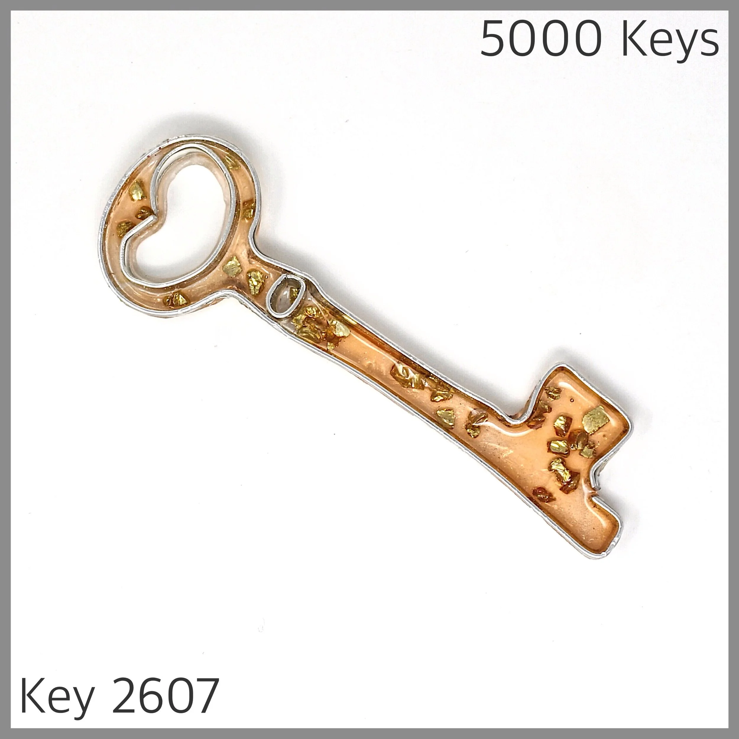 Key 2607.jpg