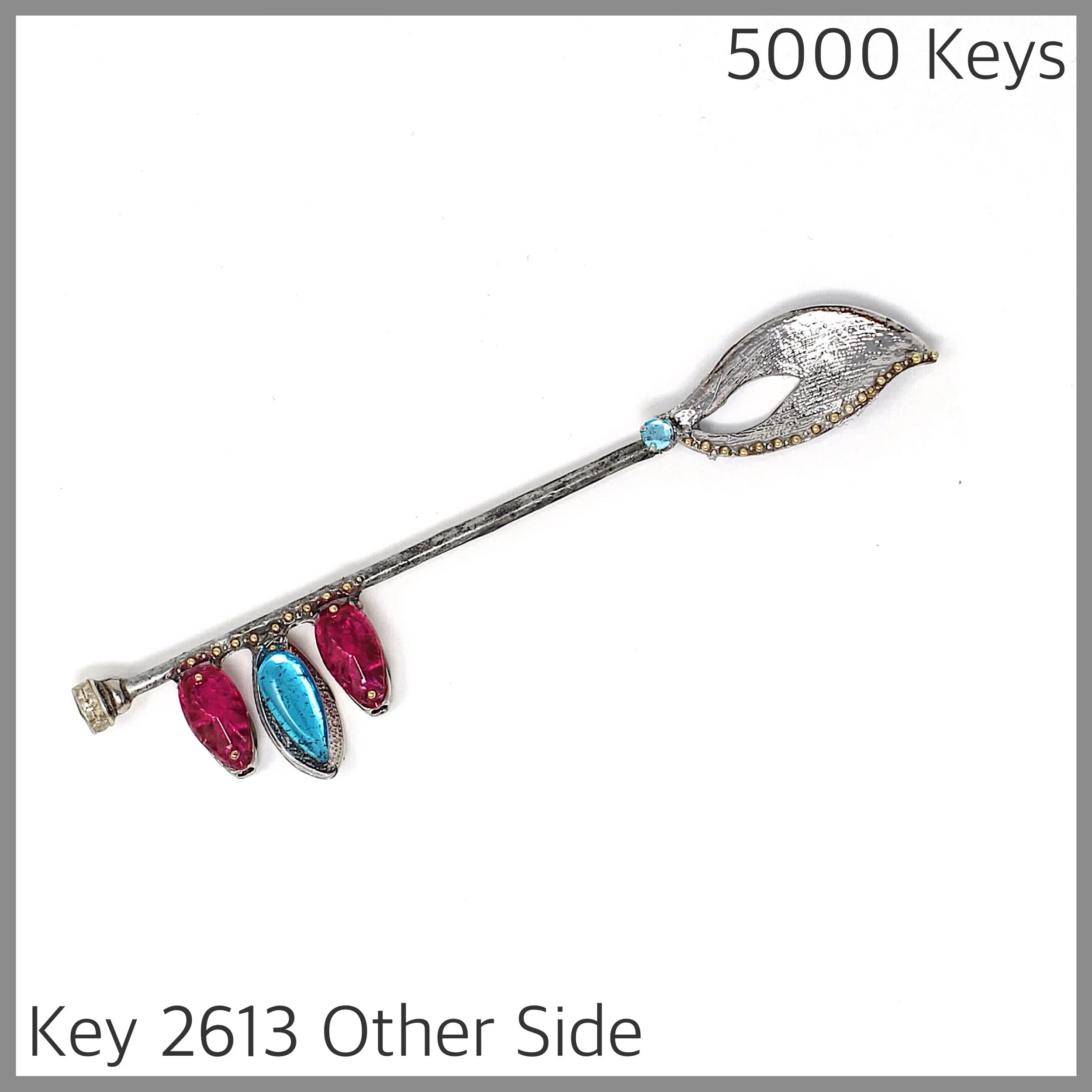 Key 2613 Other Side.jpg