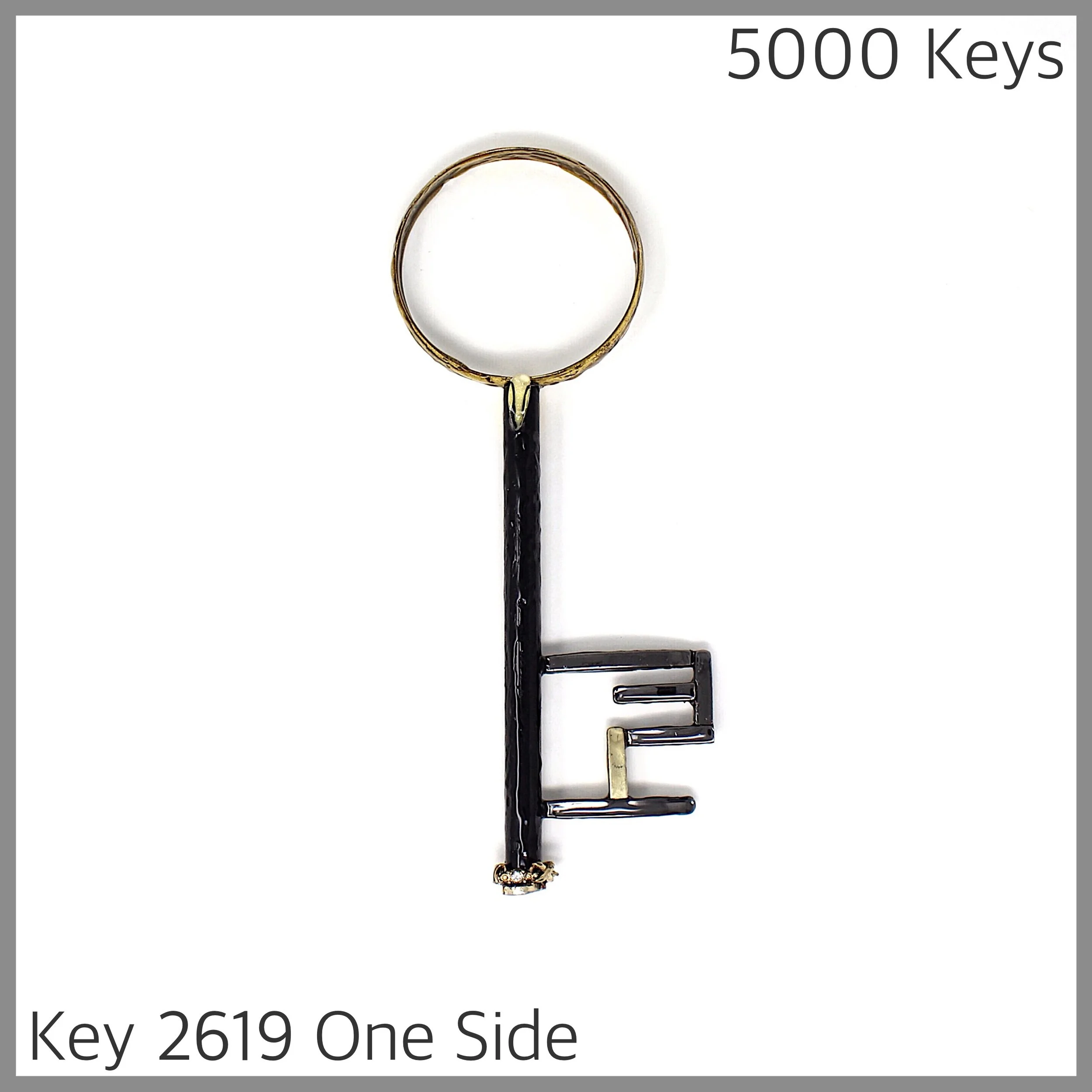 Key 2619 One Side.JPG