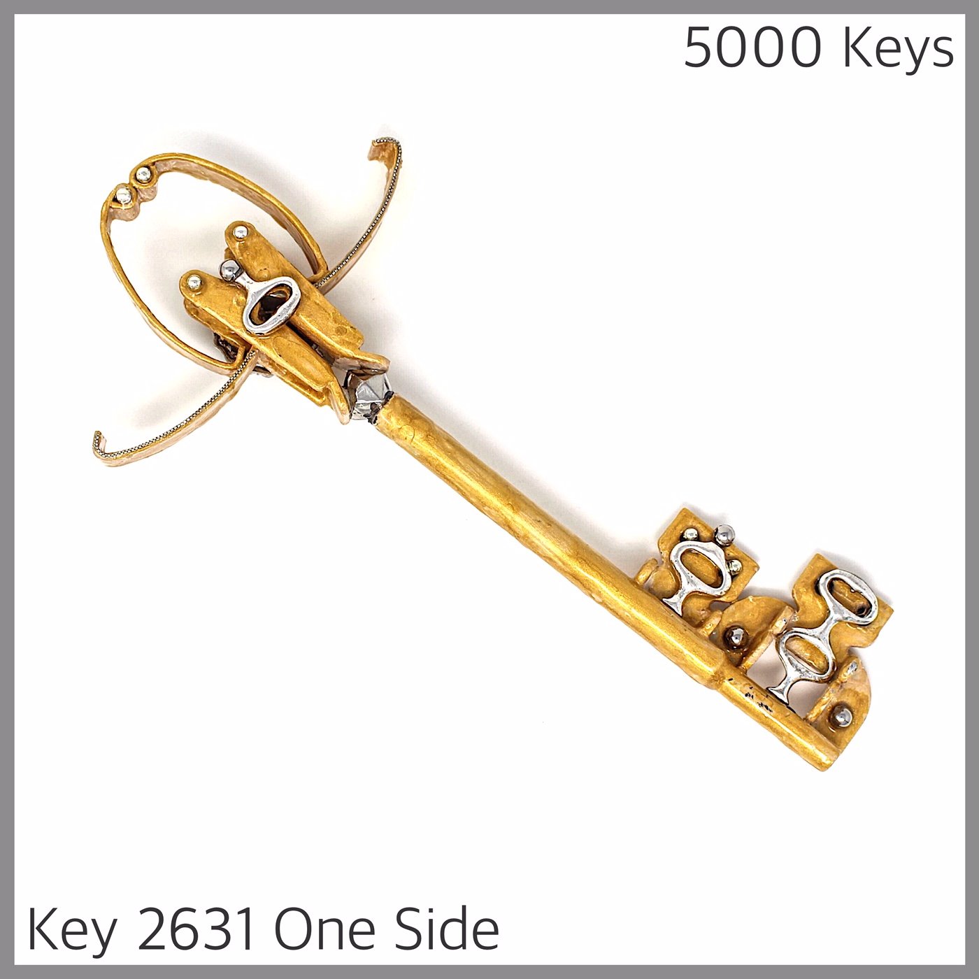 Key 2631 One Side.JPG