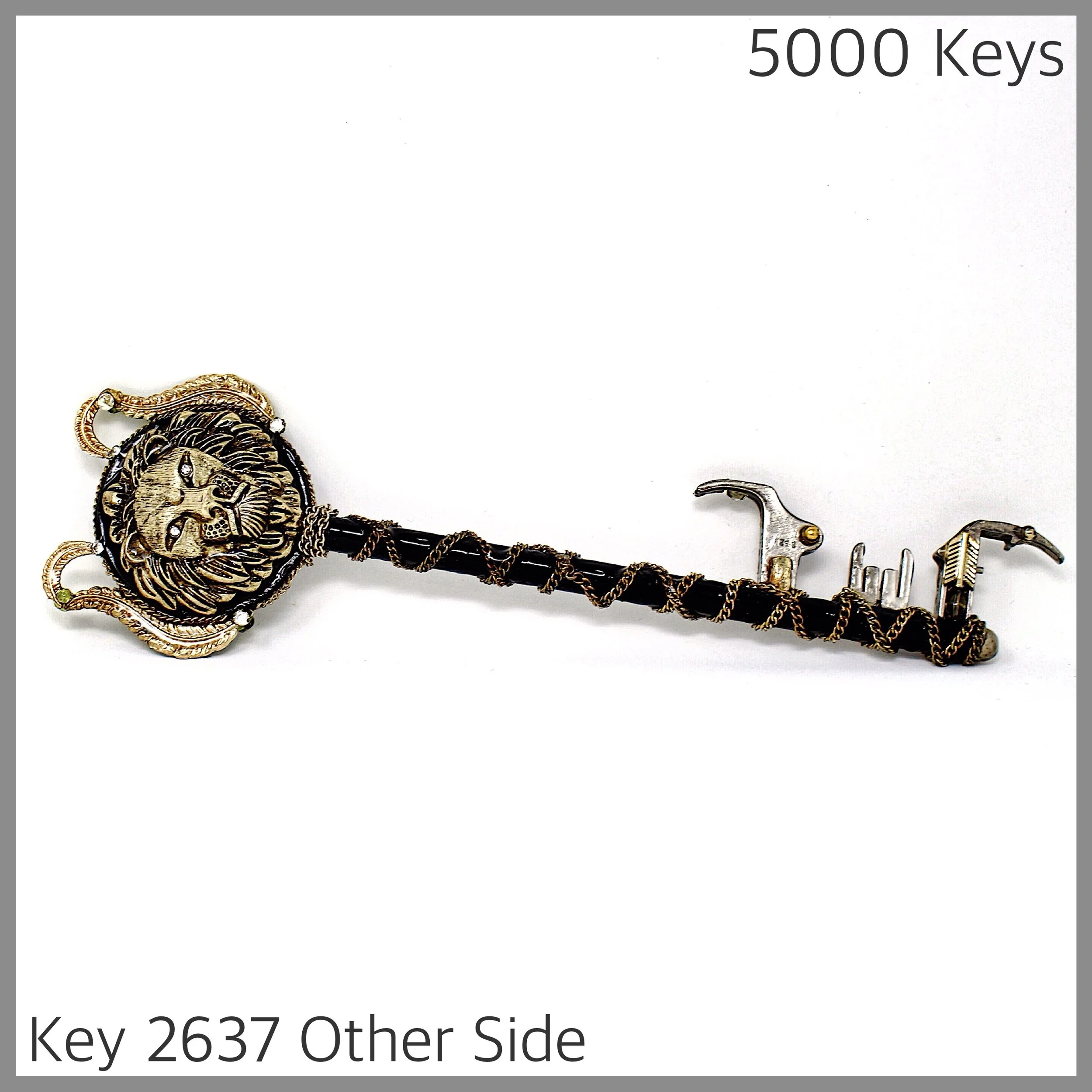 Key 2637 Other Side.jpg