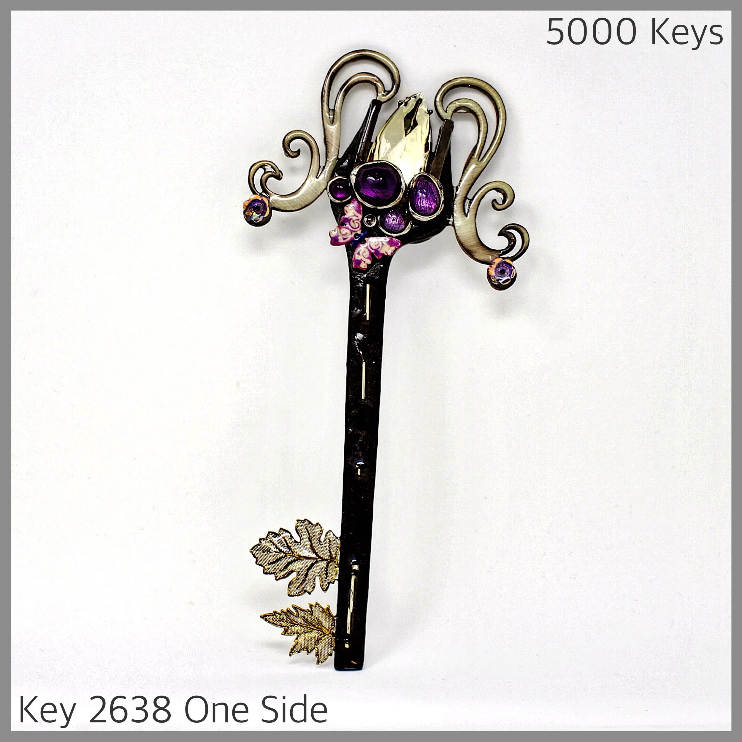 Key 2638 One Side.jpg