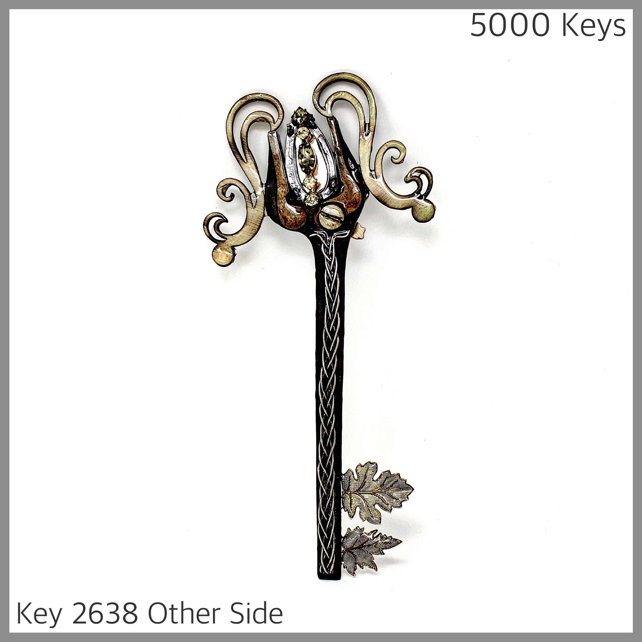 Key 2638 Other Side.jpg