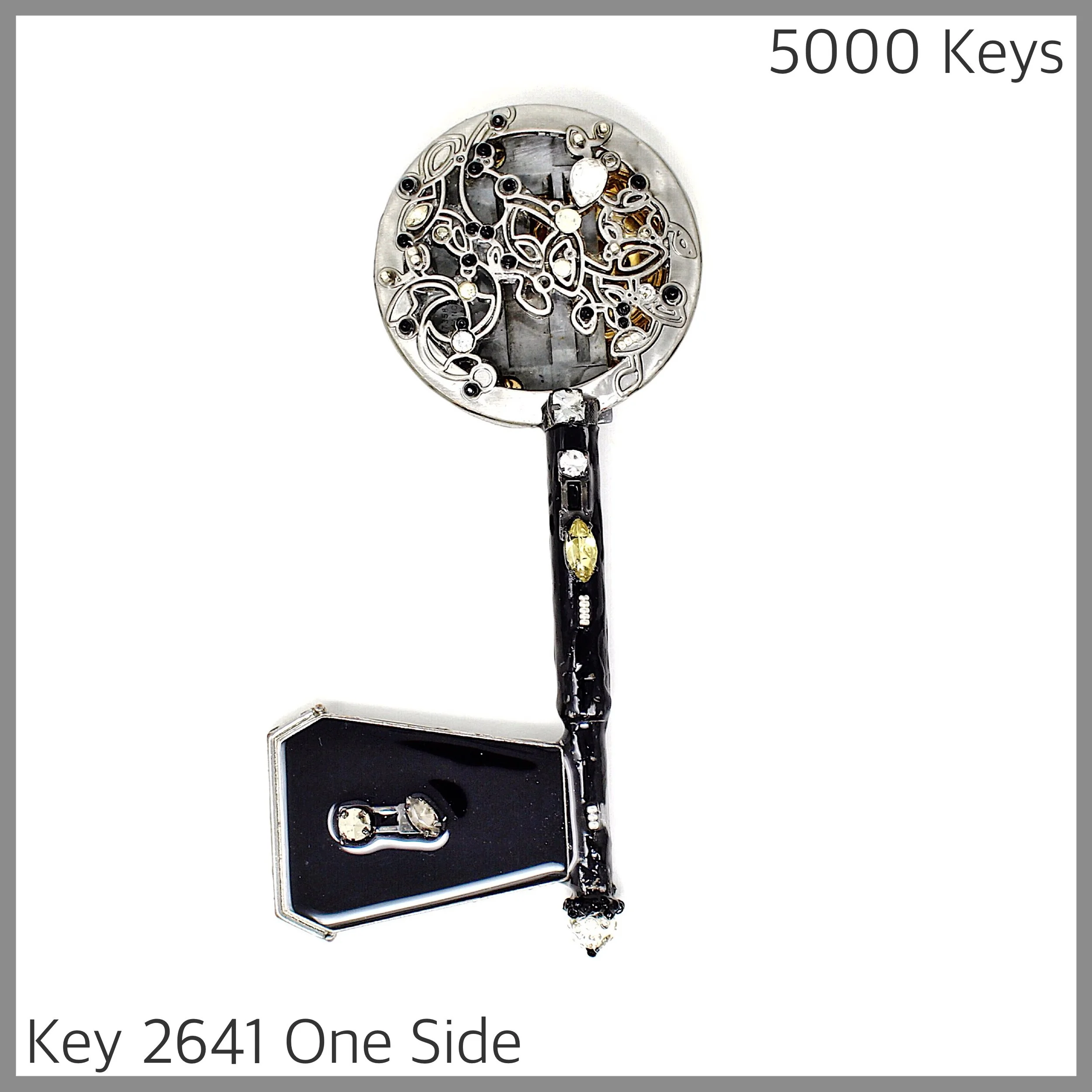 Key 2641 One Side.jpg