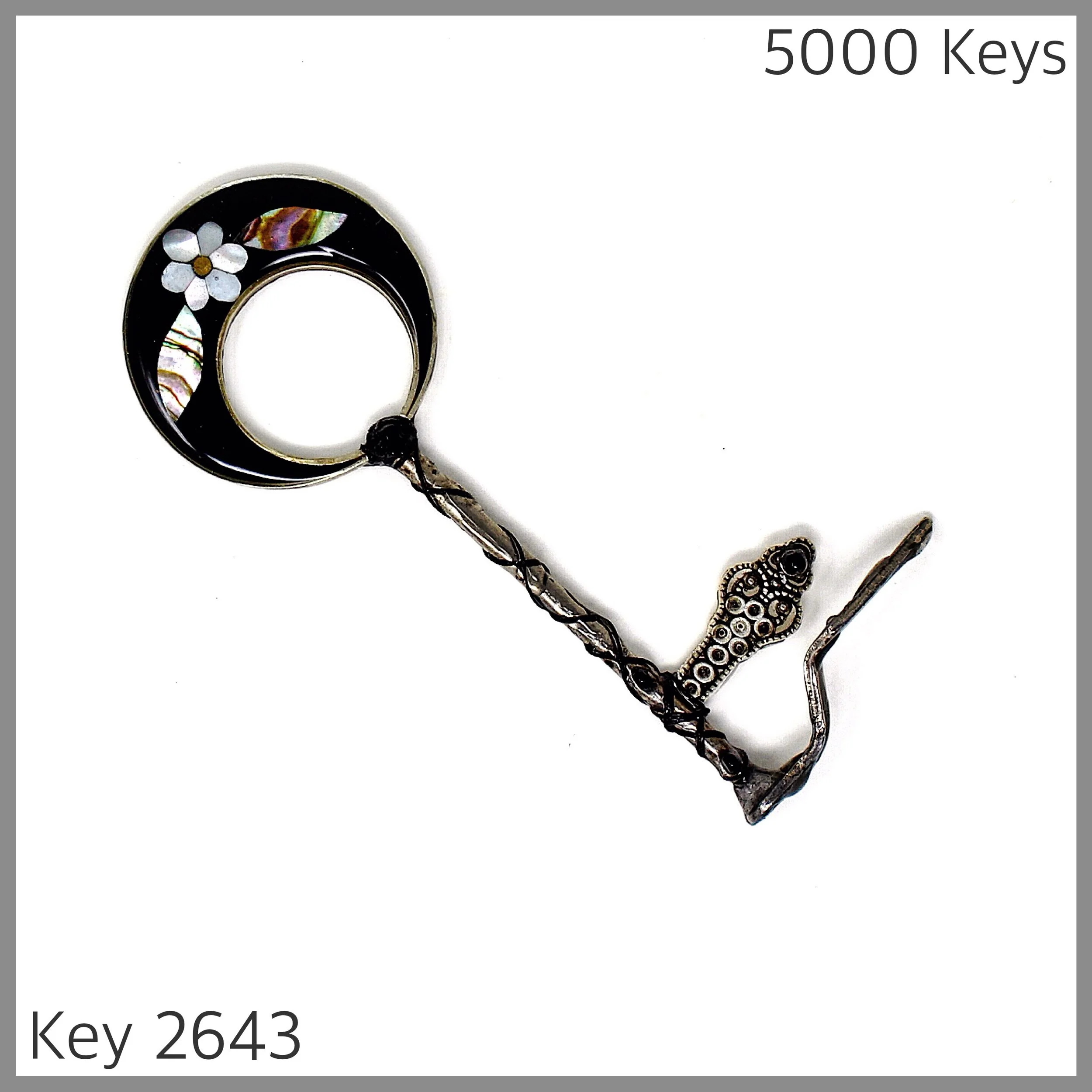 Key 2643.jpg