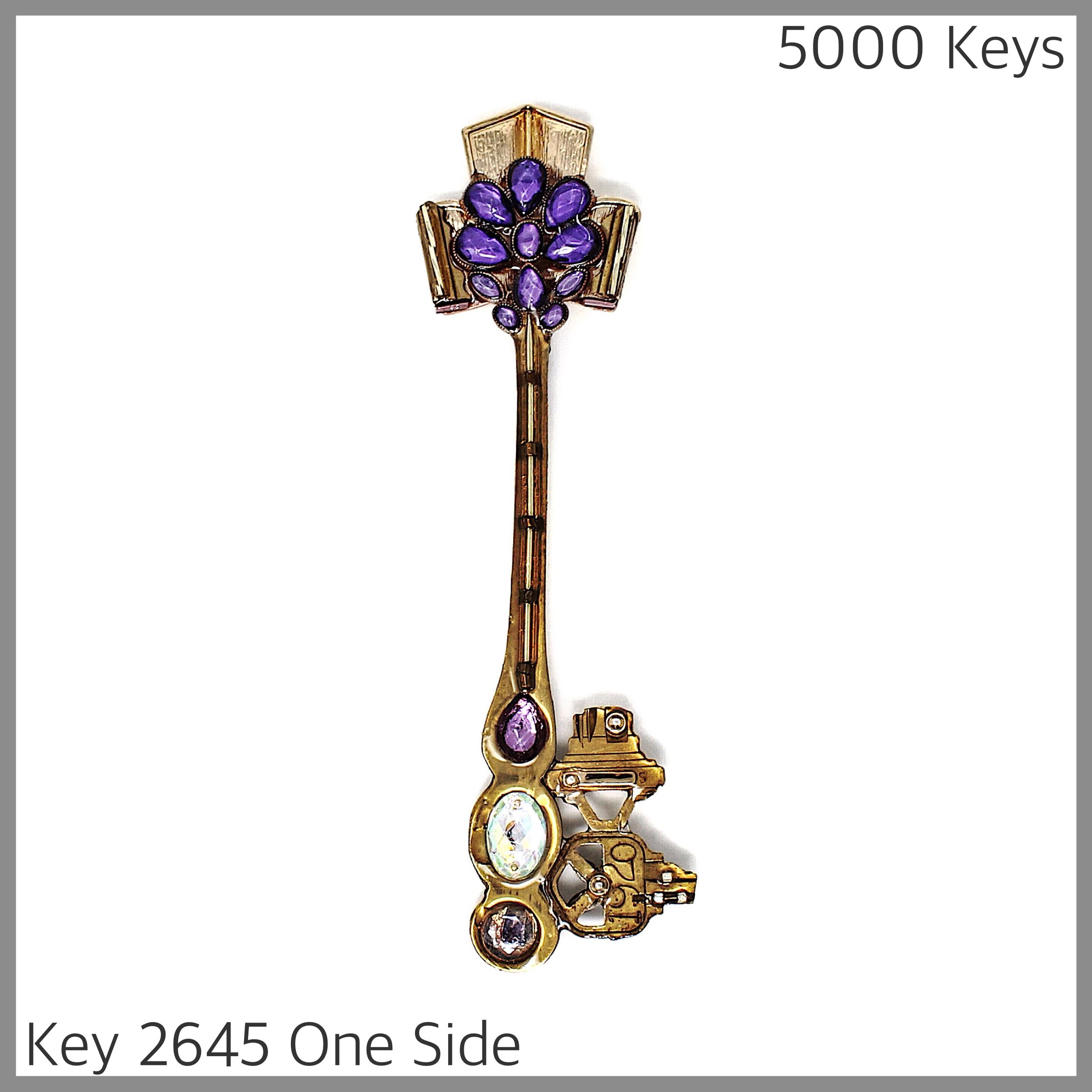 Key 2645 One Side.jpg