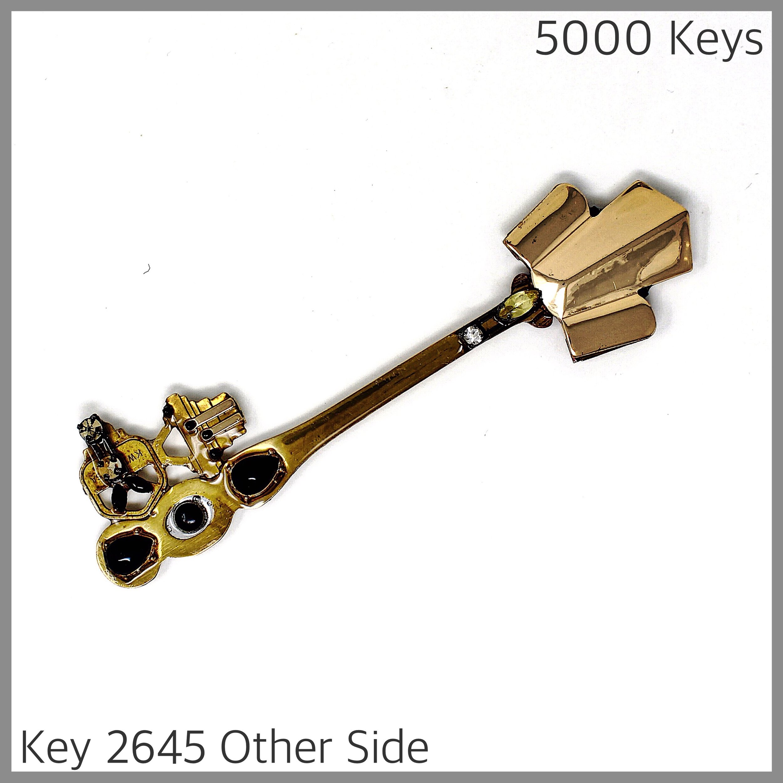 Key 2645 Other Side.jpg